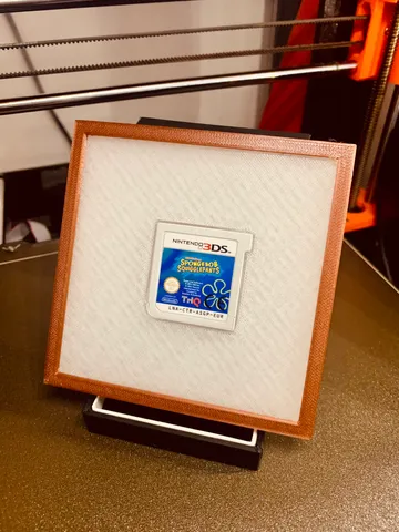 Nintendo 3DS game Display