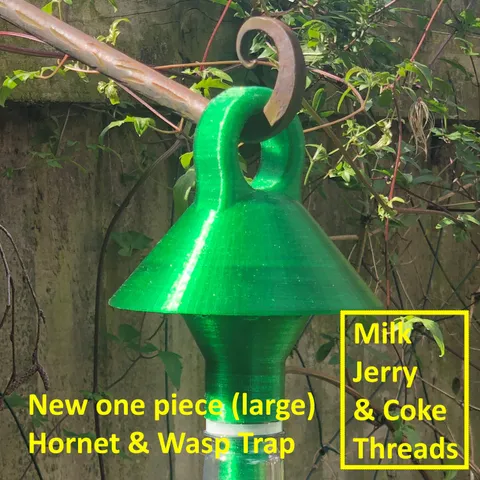 Wasp (& Hornet) Traps