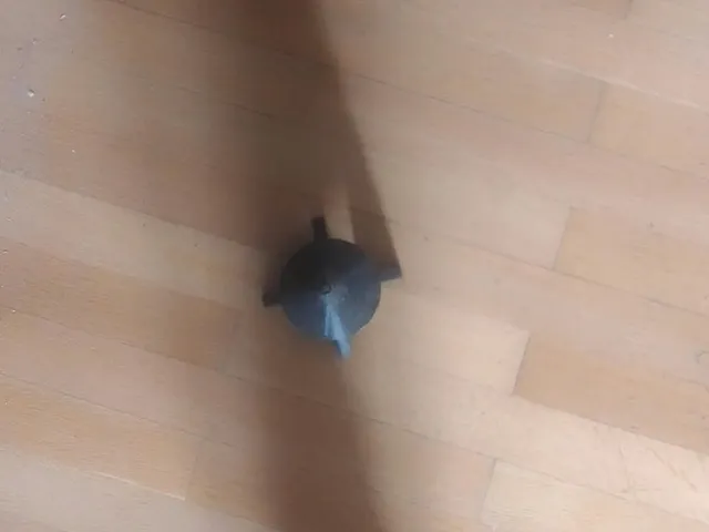 Model Rocket