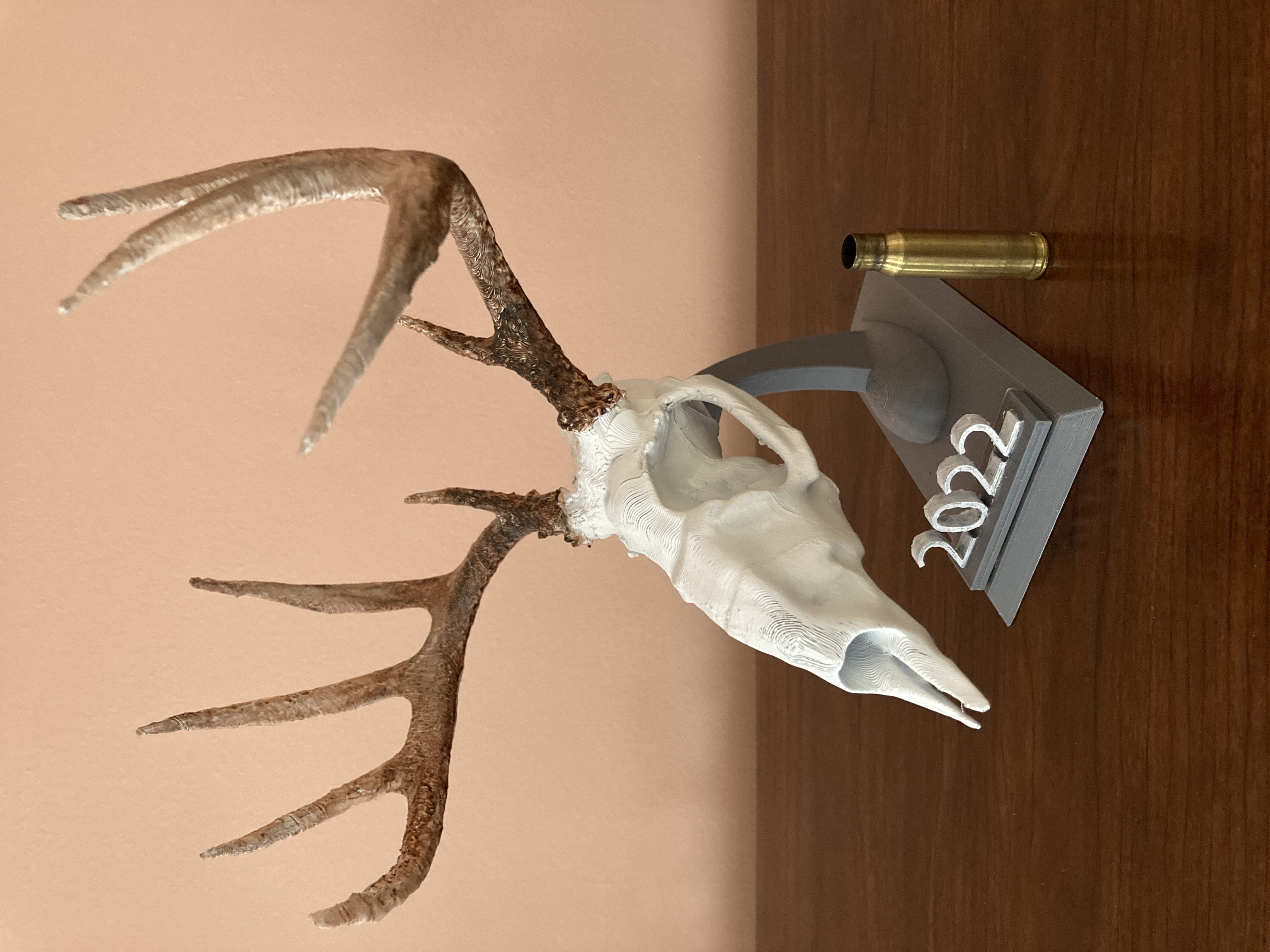 Whitetail Deer Euro Mount Miniature