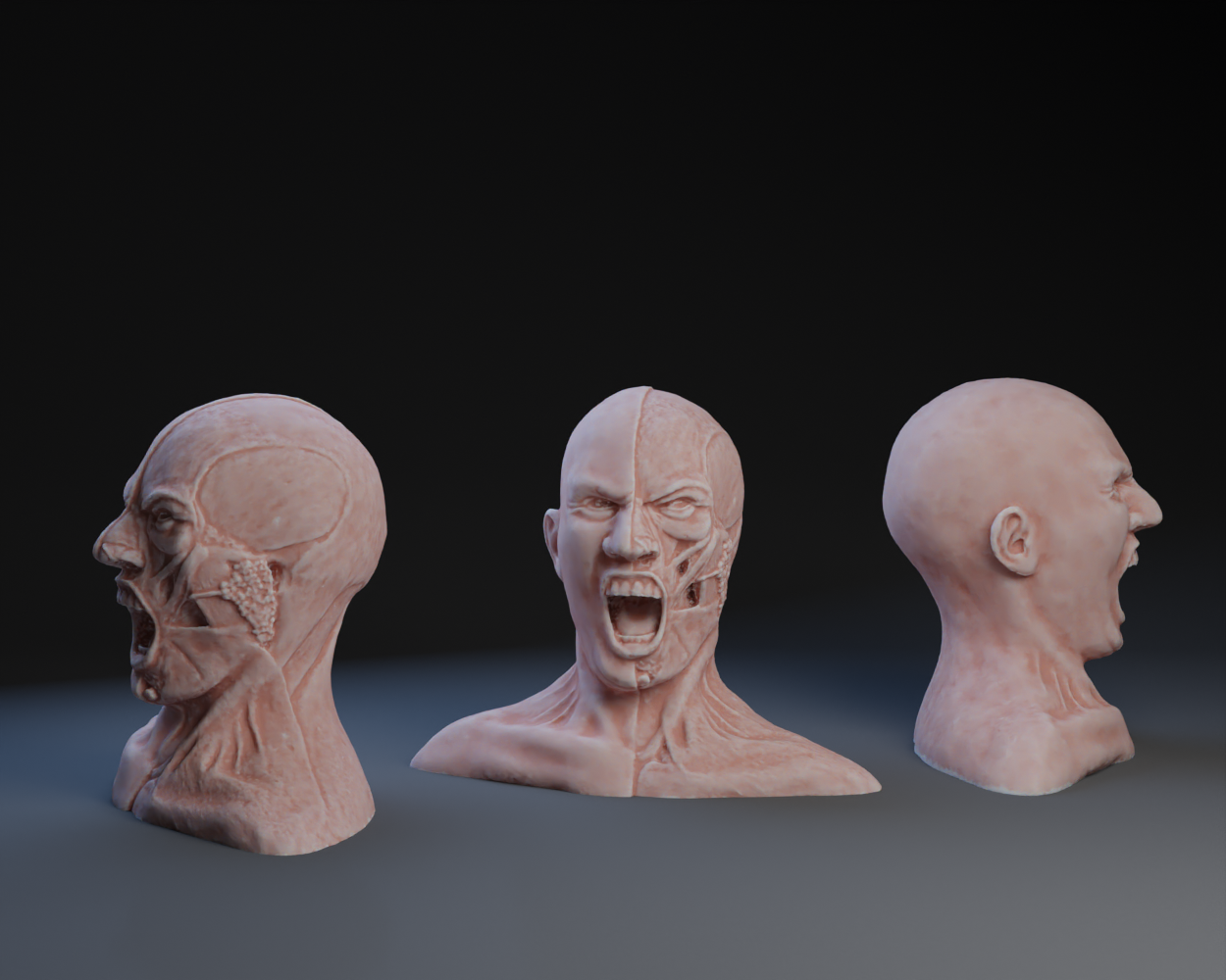 The Anatomy of Rage