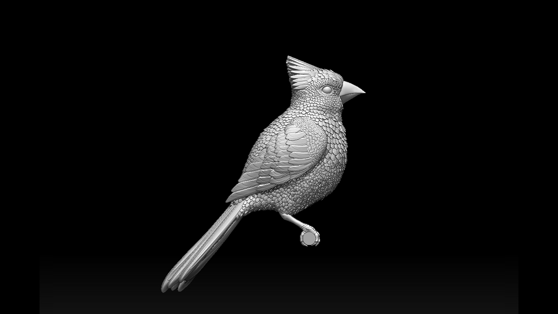 red cardinal — miniatura 5