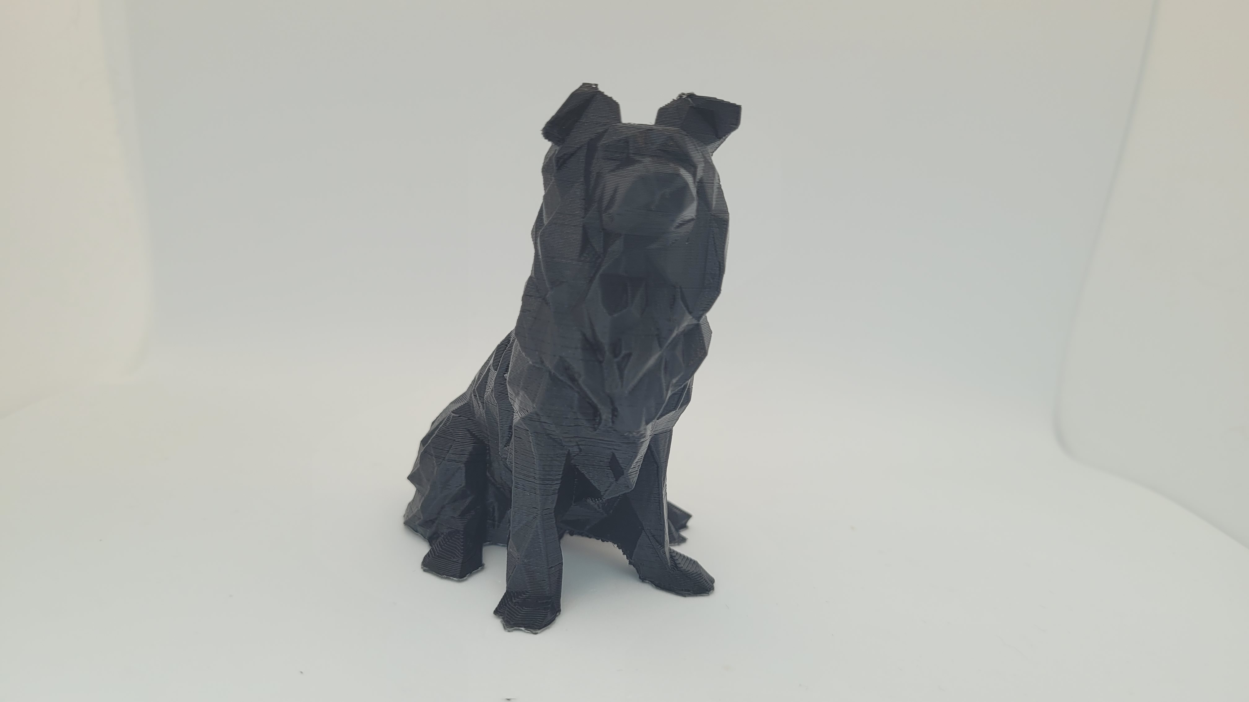 Low poly Border Collie - Remixed