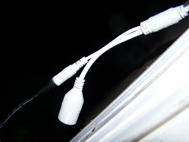 Tapo C310 RJ-45 Cap
