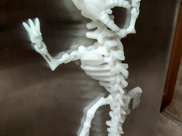 Magnetic Articulated Skeleton Dragon