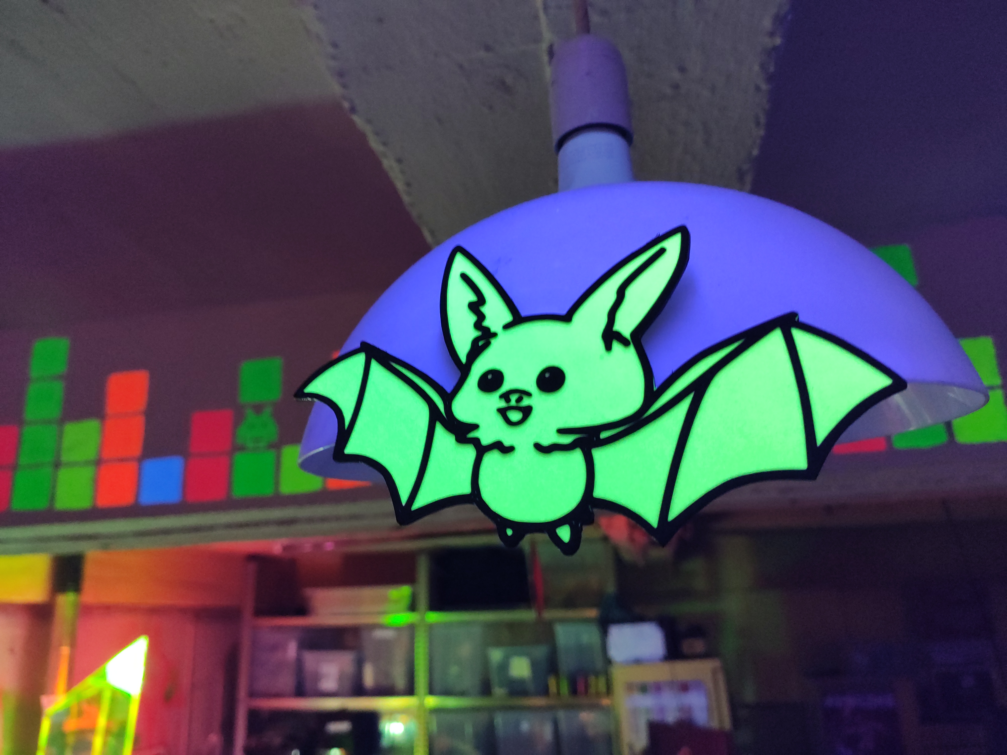 Echo the bat