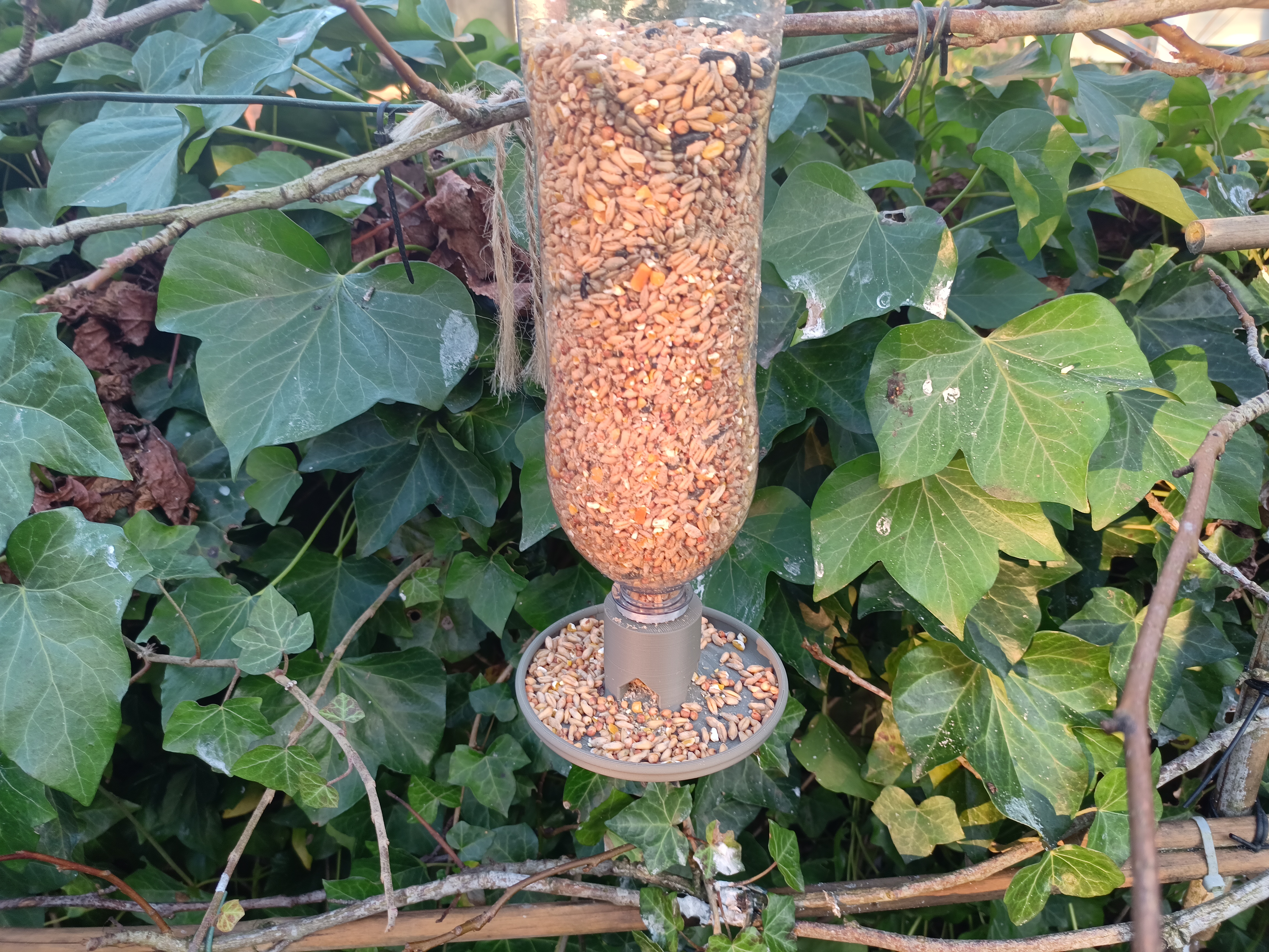 Birdfeeder