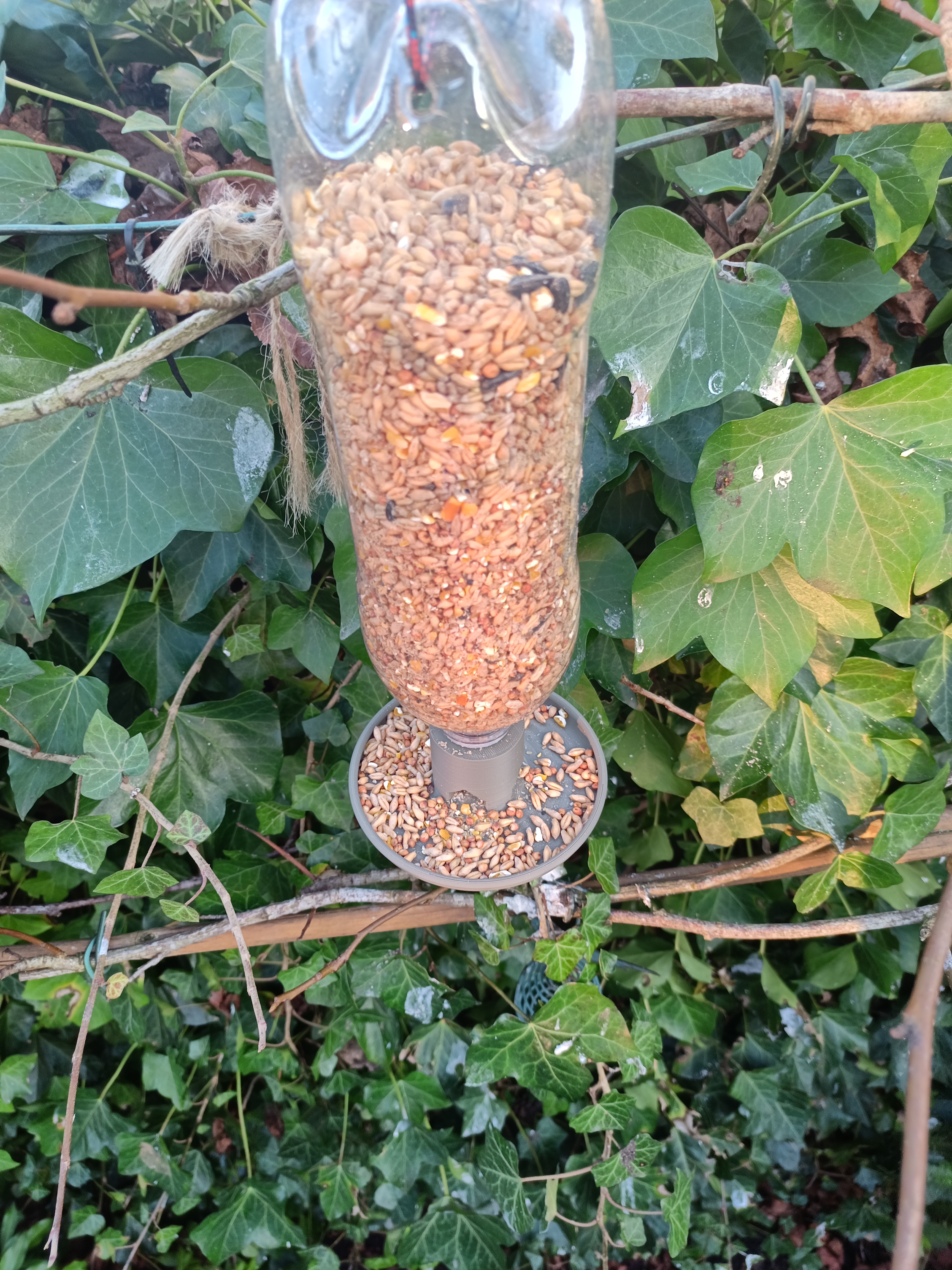 Birdfeeder — thumbnail 3