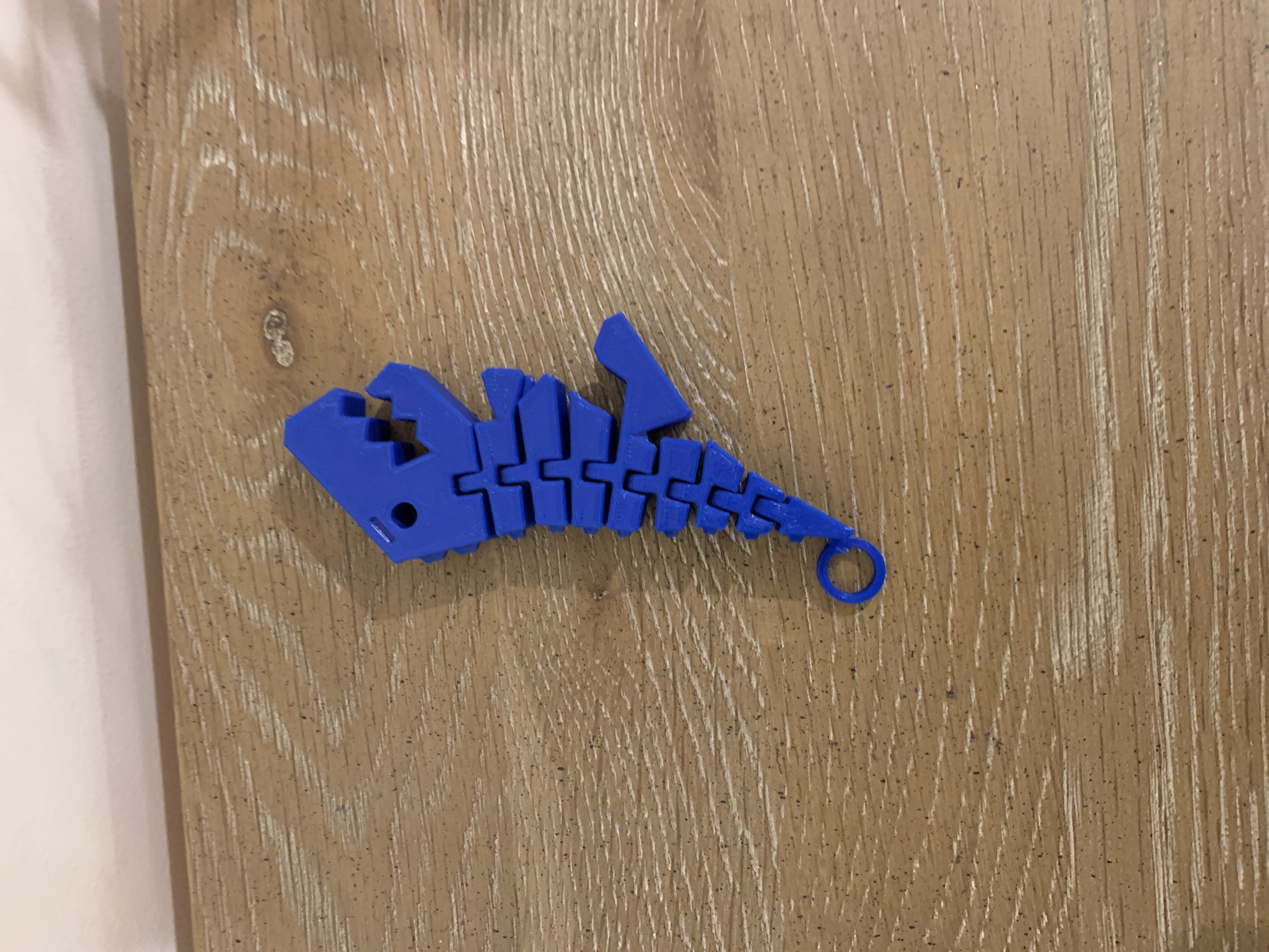 flexi rex key ring on tail