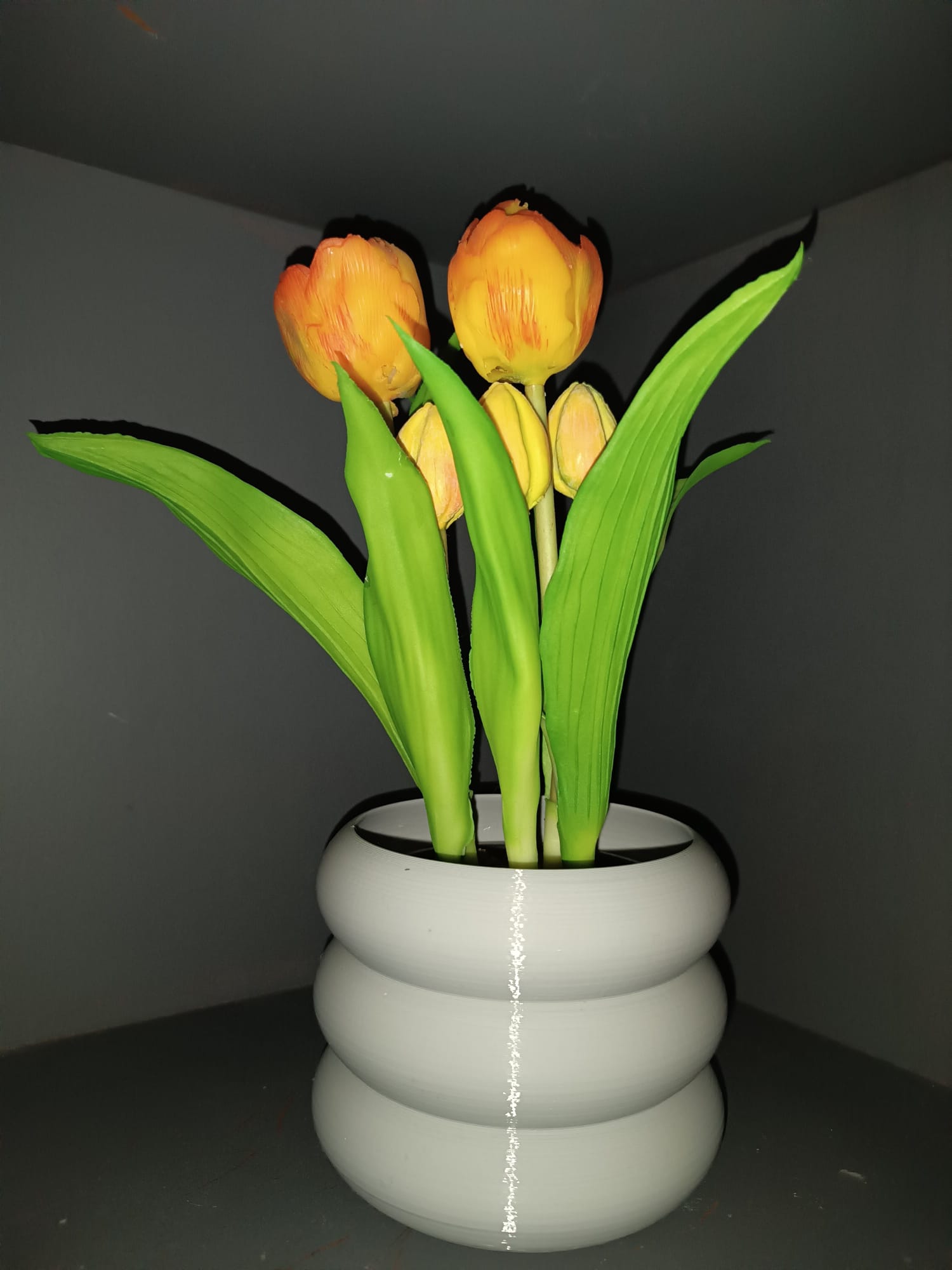 Plant Pot