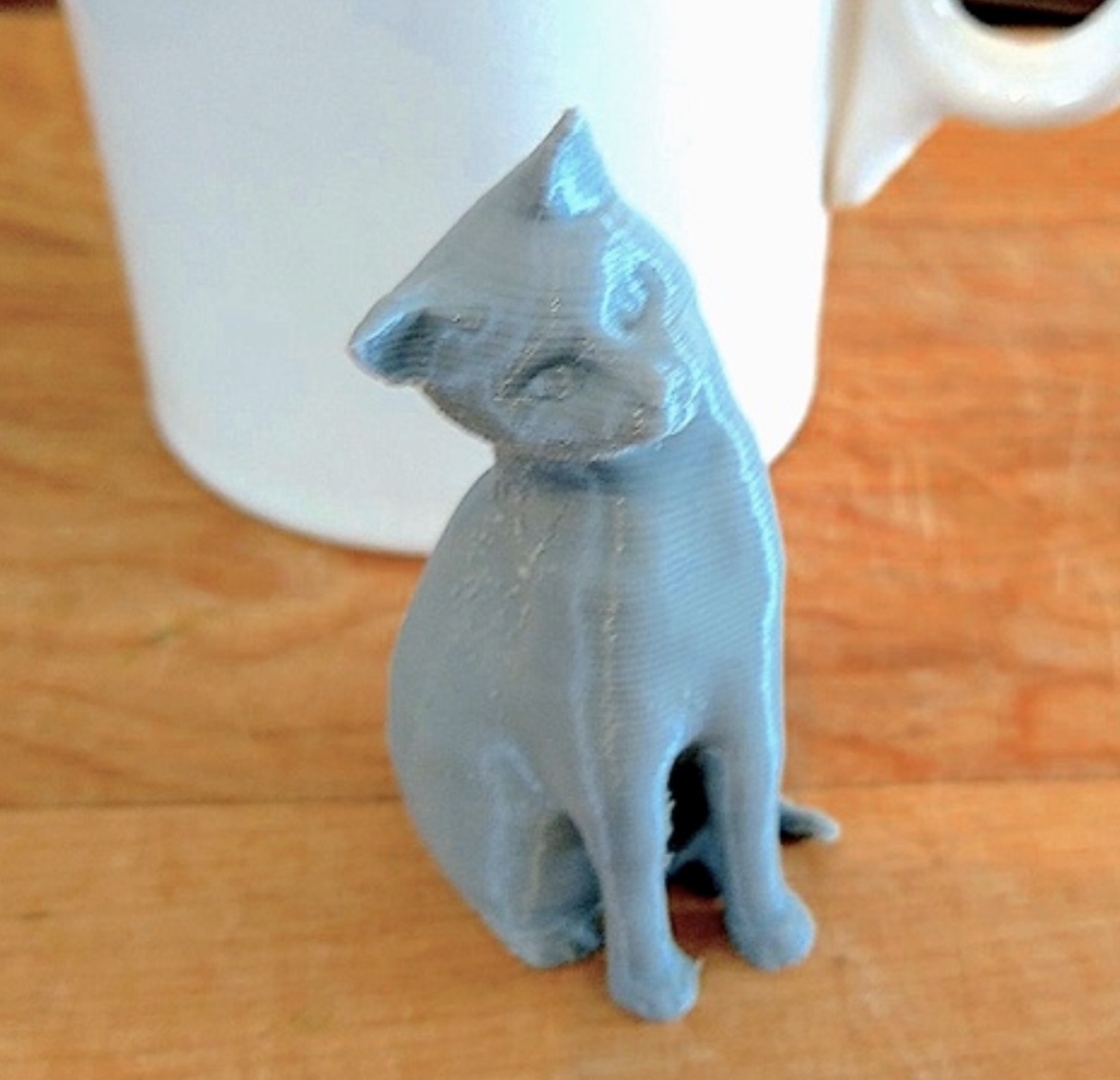 Seated Curious Cat
