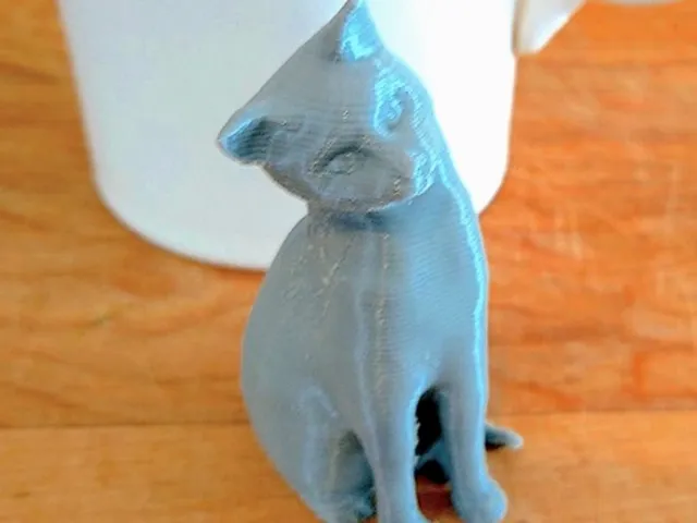 Seated Curious Cat