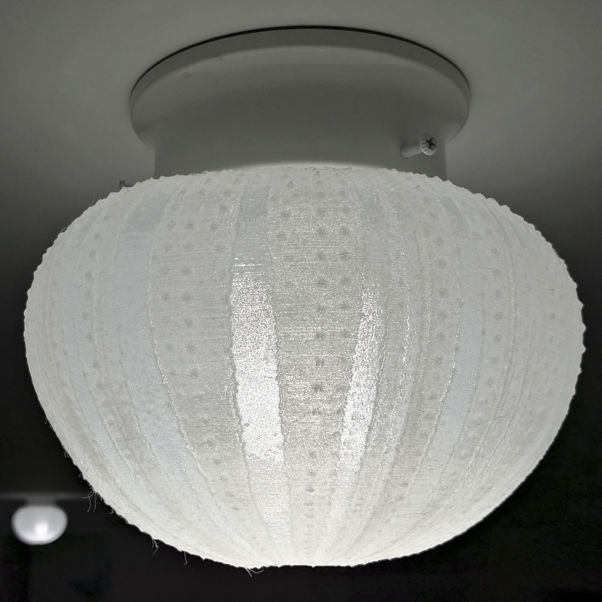 Miniatura 4 do modelo 3D Sea Urchin Light