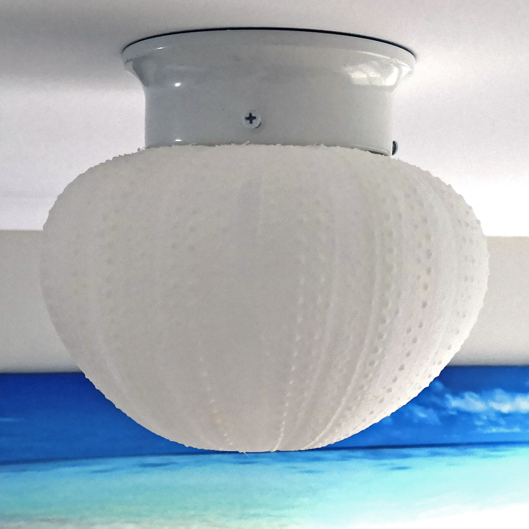 Miniatura 6 do modelo 3D Sea Urchin Light