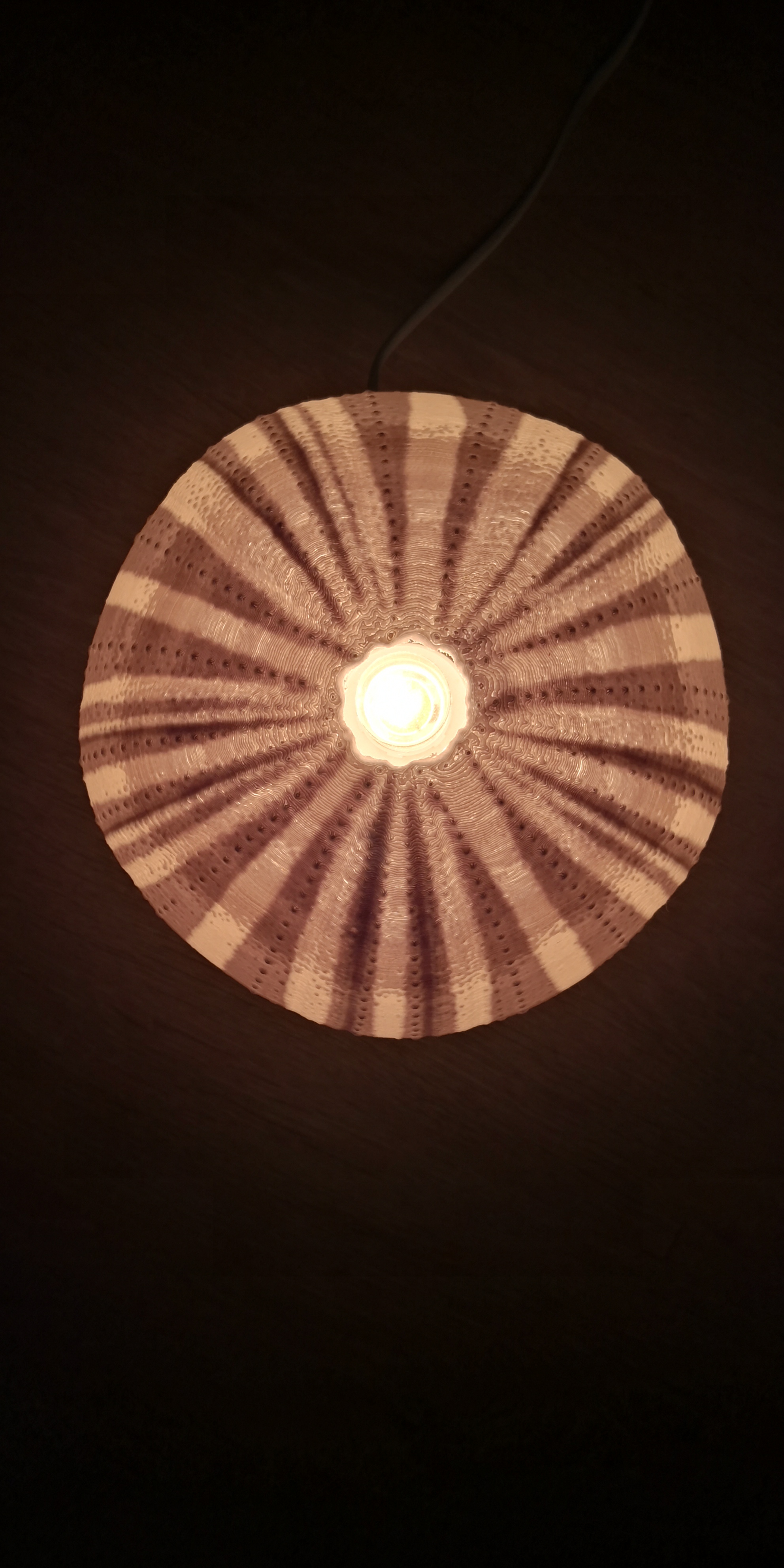 Miniatura 2 do modelo 3D Sea Urchin Light