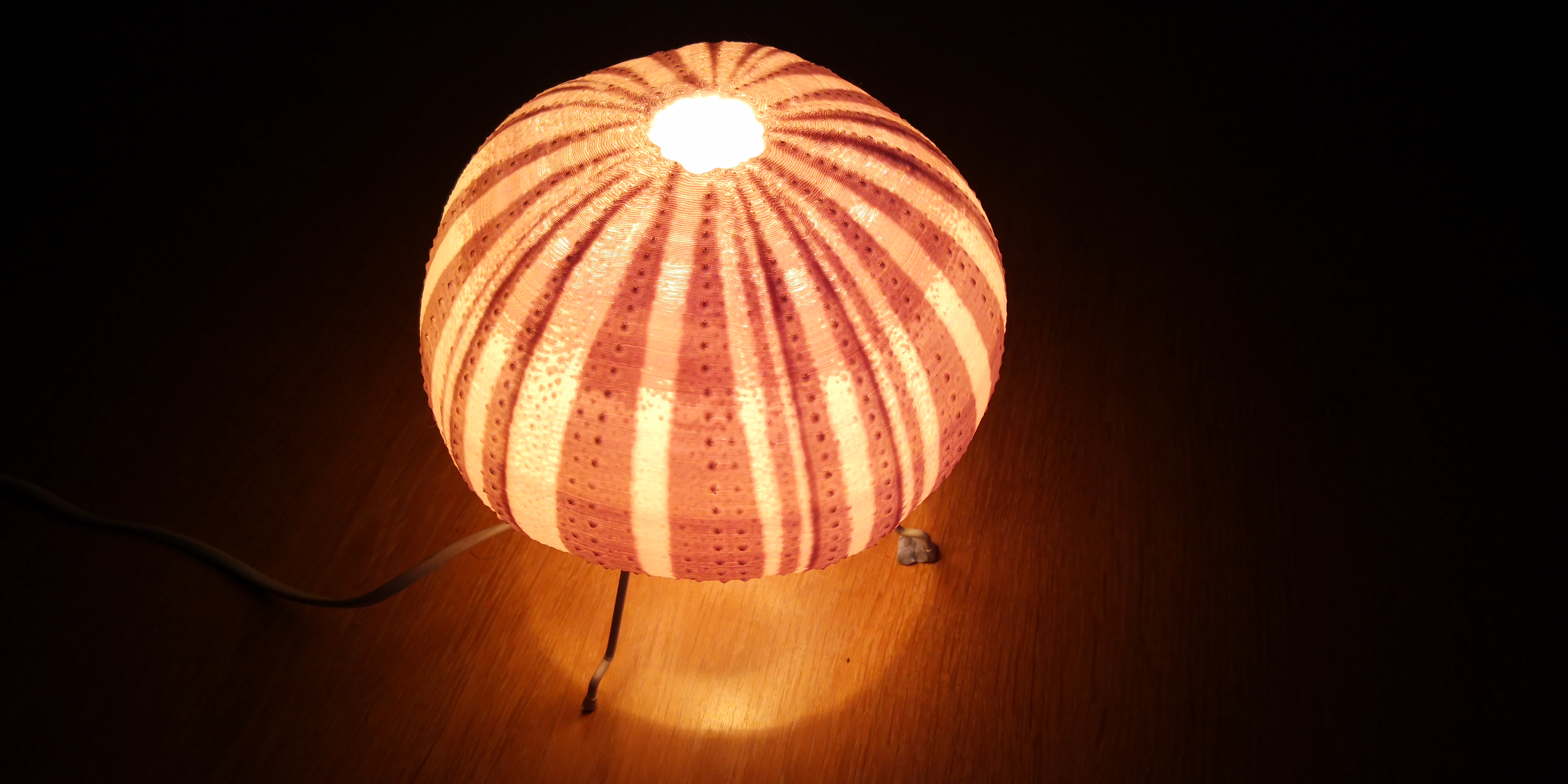 Sea Urchin Light