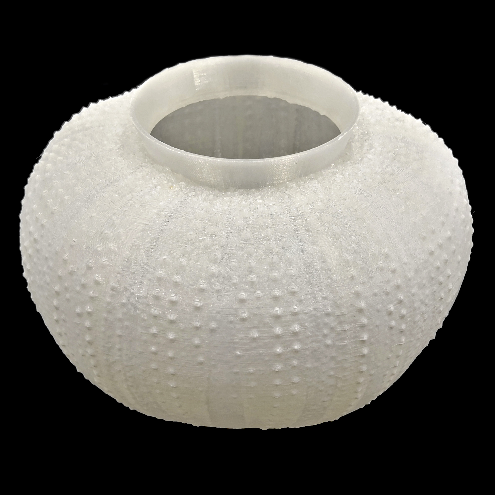 Miniatura 7 do modelo 3D Sea Urchin Light