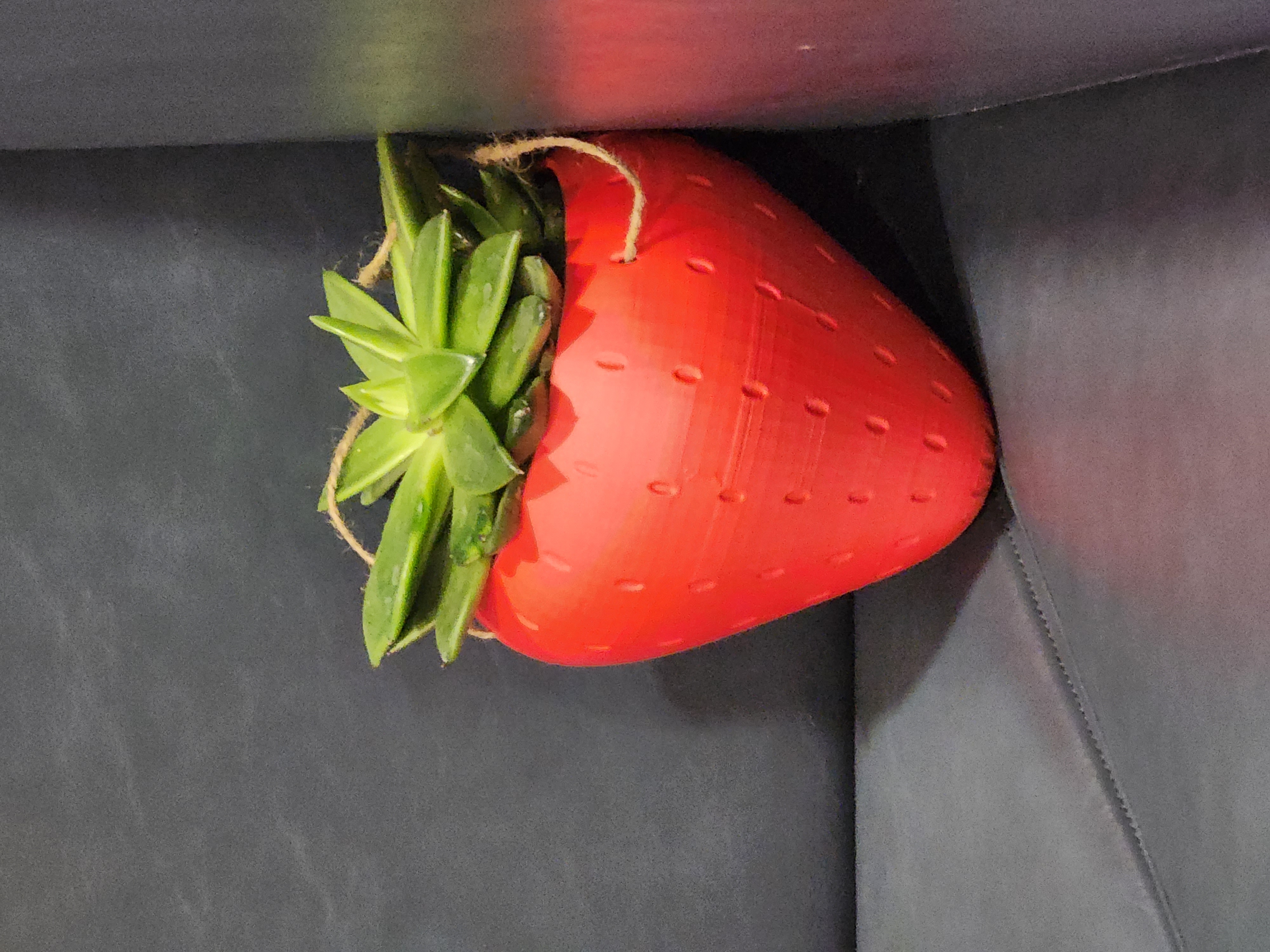 Strawberry Succulent Planter