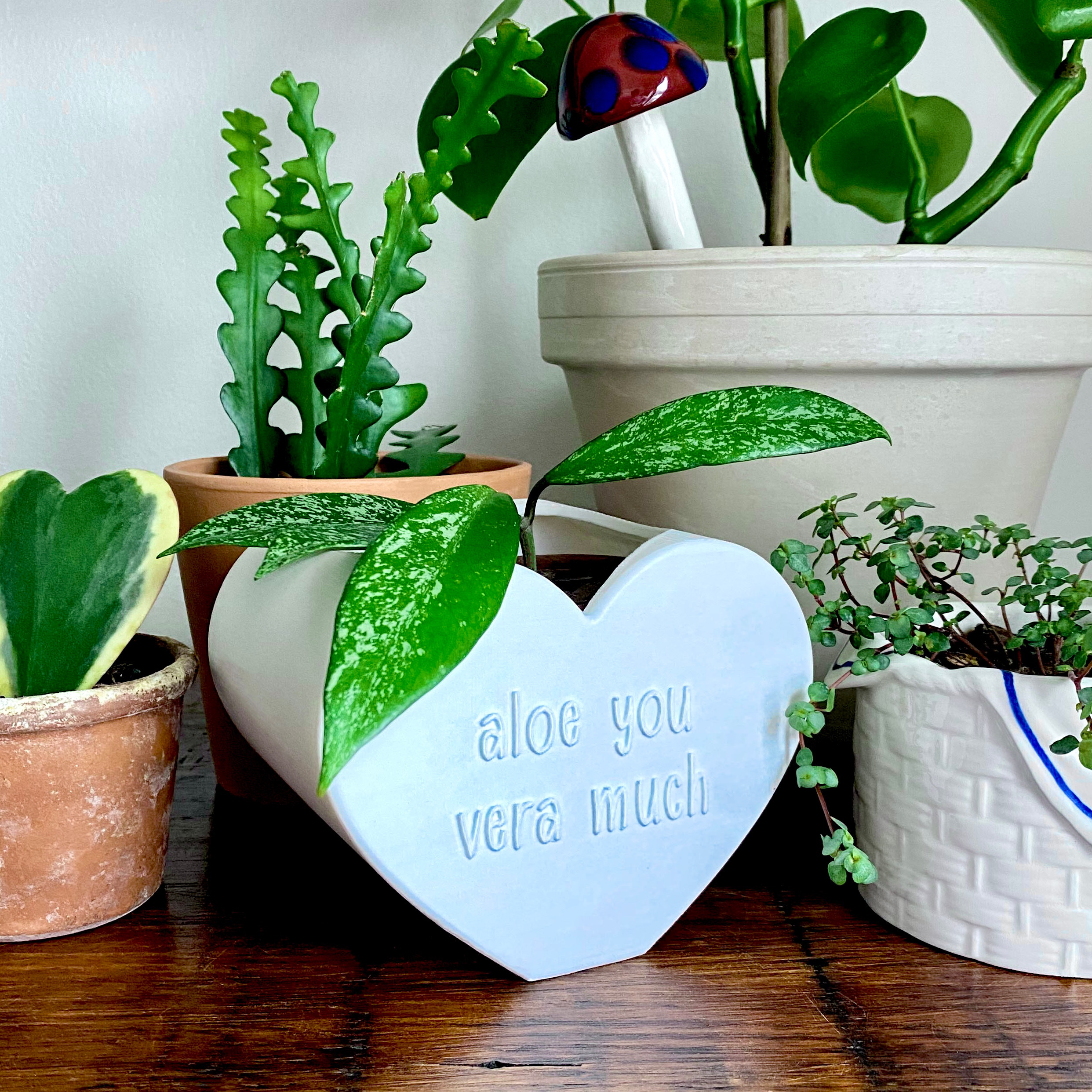 Valentine's day planter