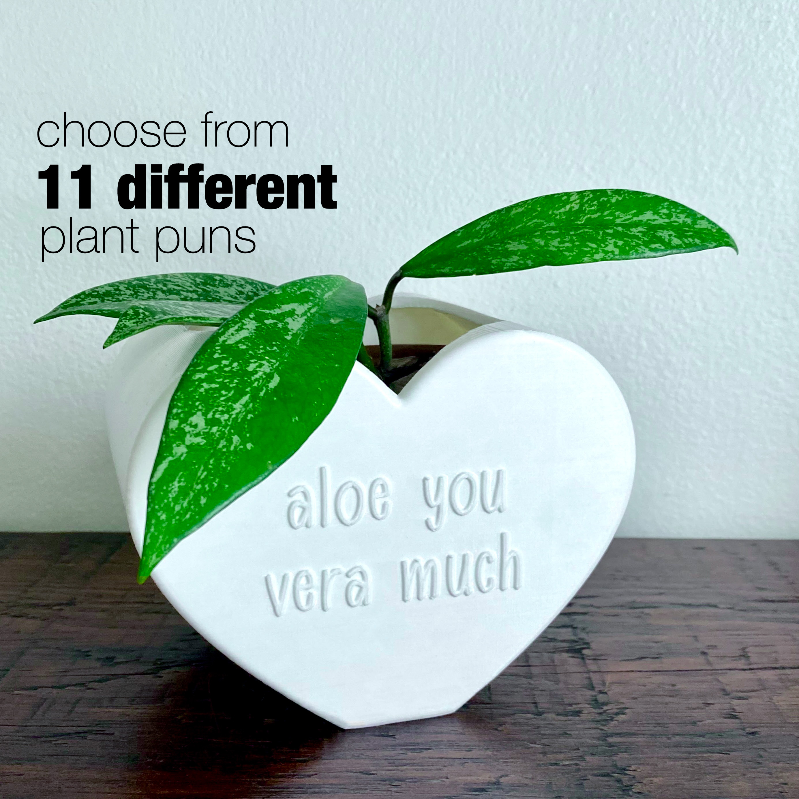 Valentine's Day Heart Planter