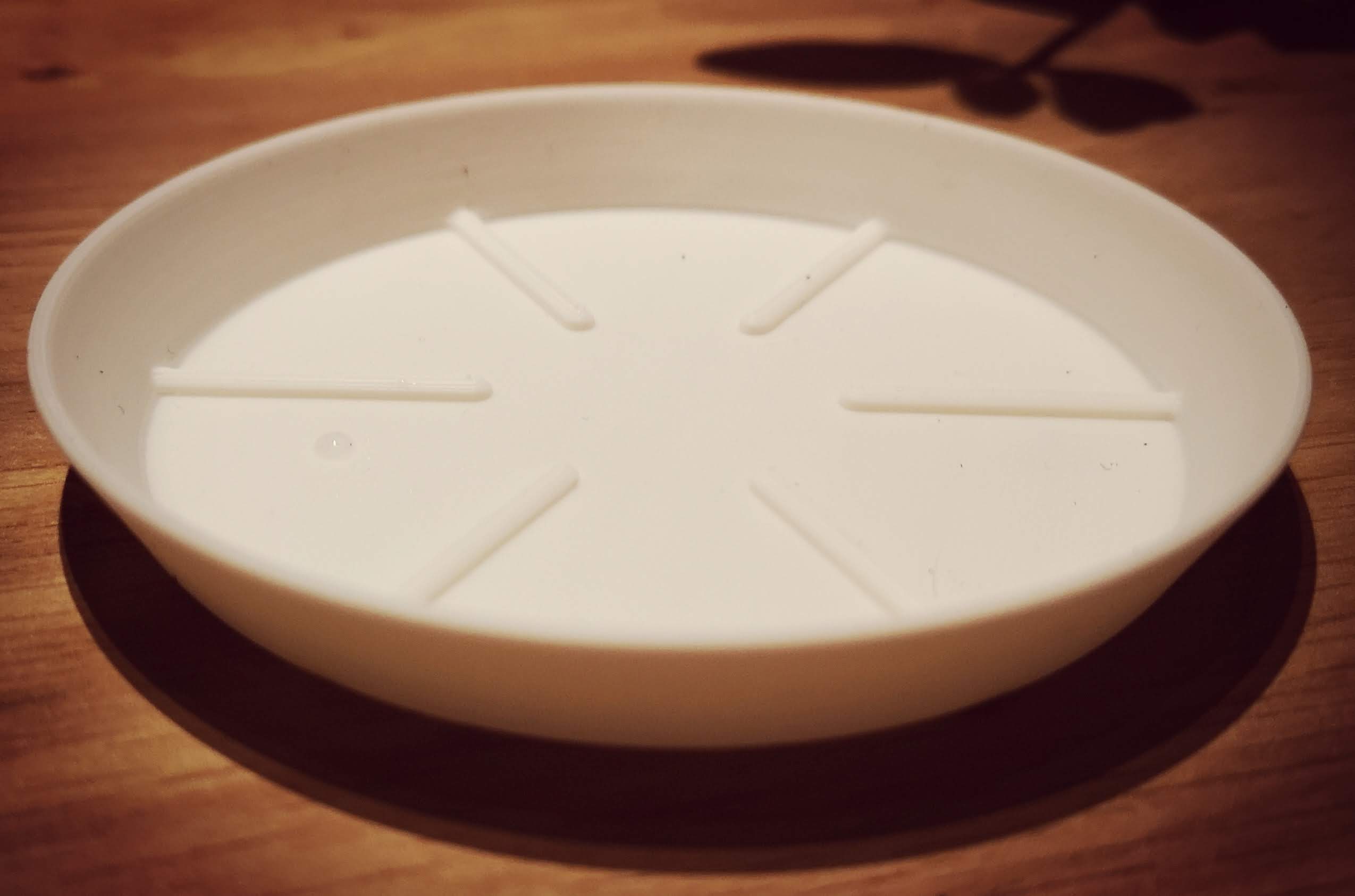 AquaGuard Custom Saucer: The Ultimate Plant Base Creator