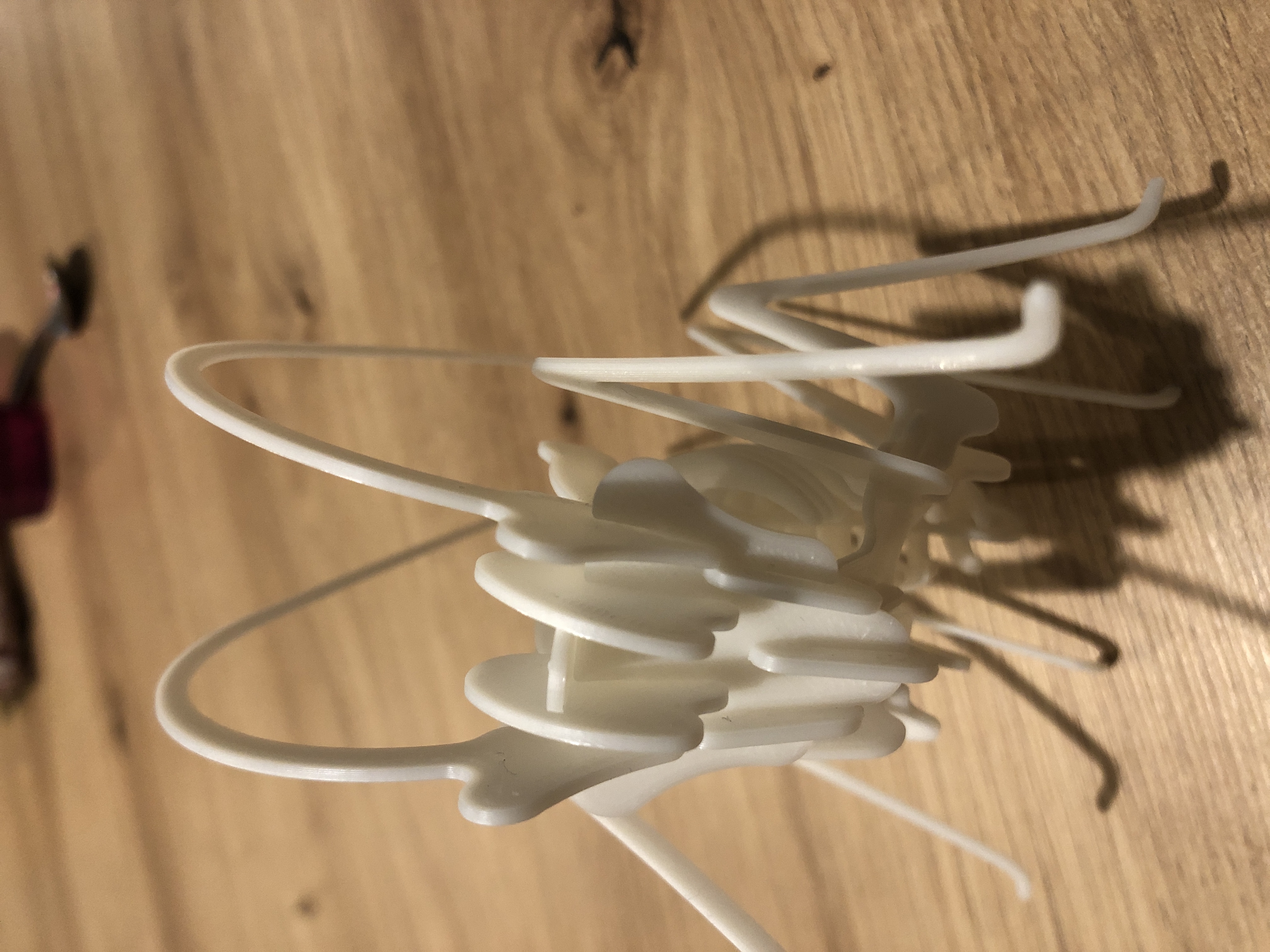 cricket skeleton — miniatura 3