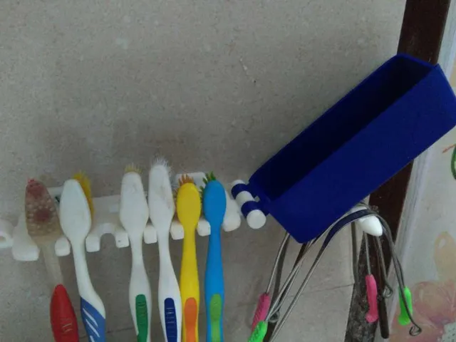 Tooth brush Holder