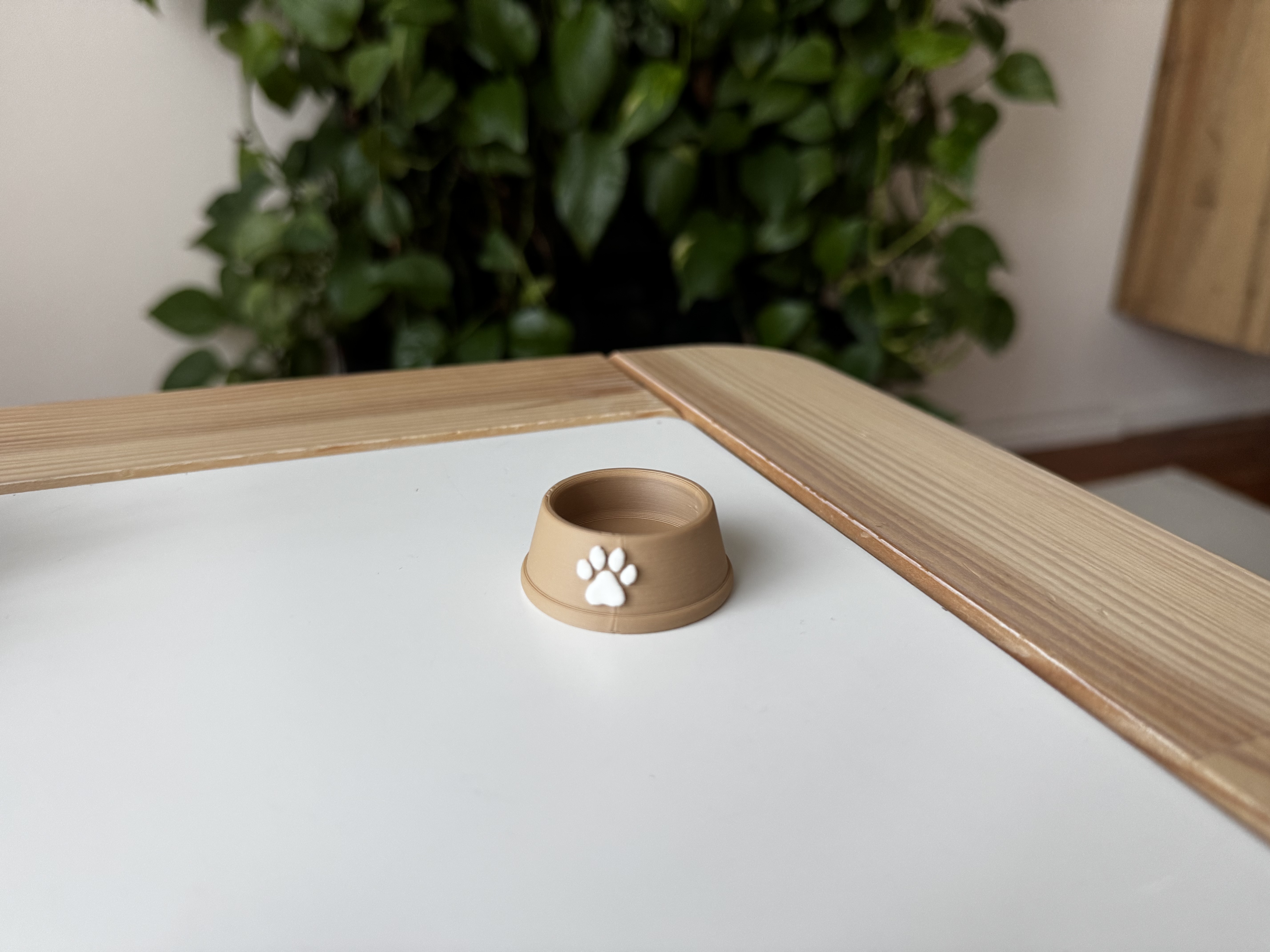 Empty dog bowl - paw