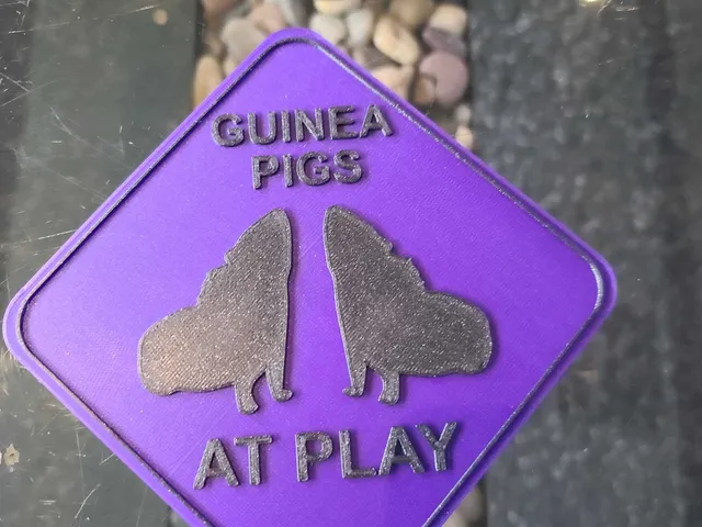 Guinea Pigs At Play Sign