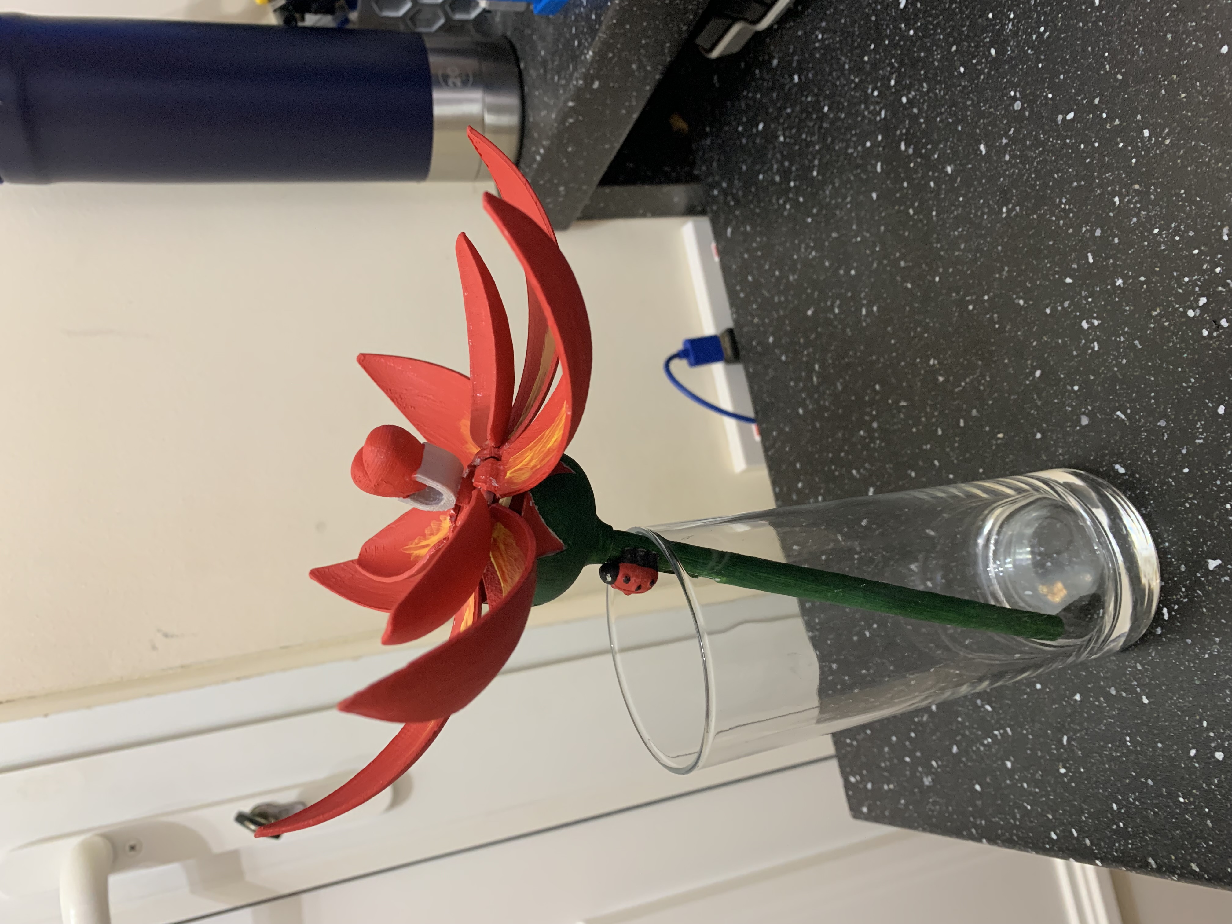 Blooming Flower