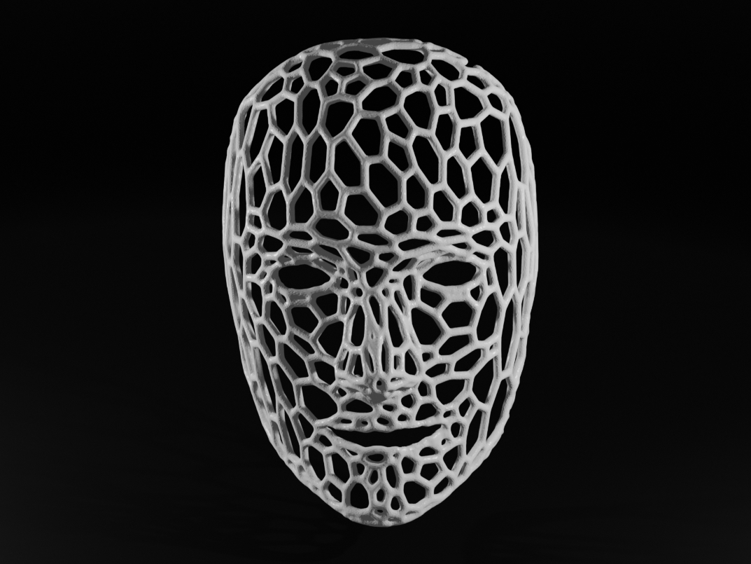 Human Face Mask Voronoi