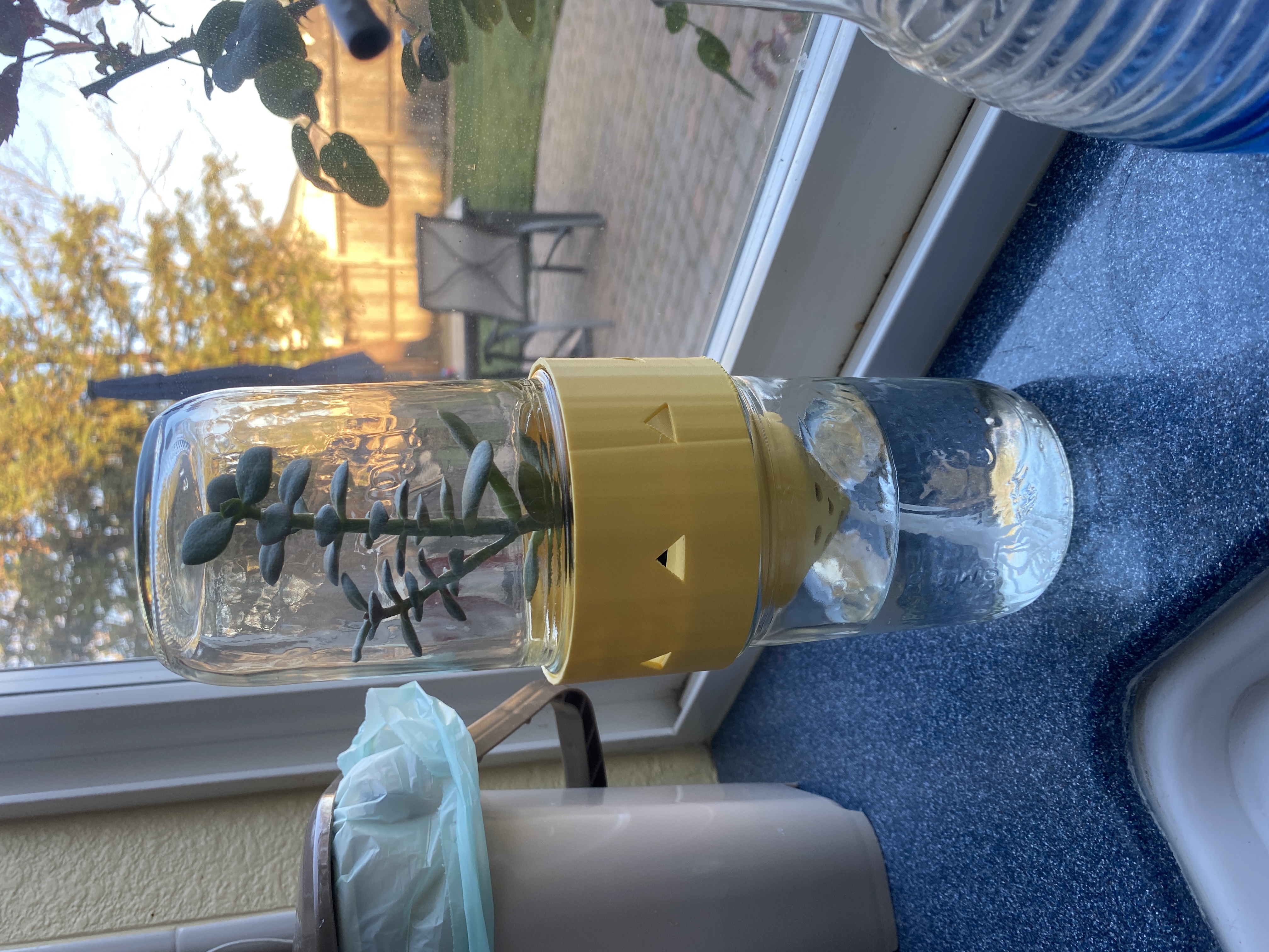 Set-and-Forget Self Watering Double Mason Jar Planter
