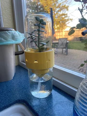 Set-and-Forget Self Watering Double Mason Jar Planter