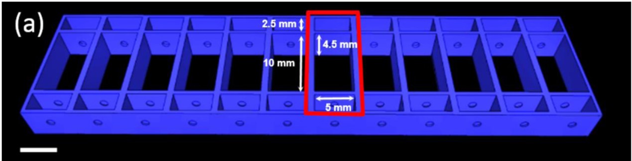 Channel system for epithelial micro-tissue array