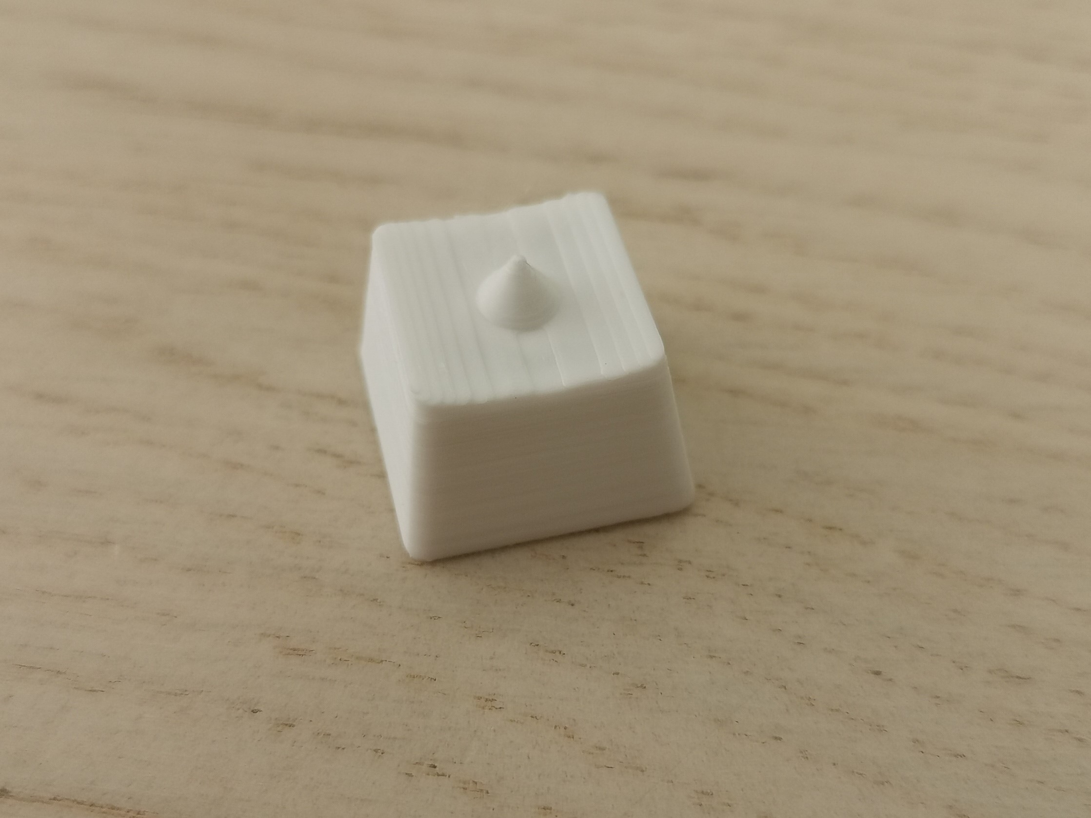 Mortification Keycap (for extra pain and suffering during gameplay)