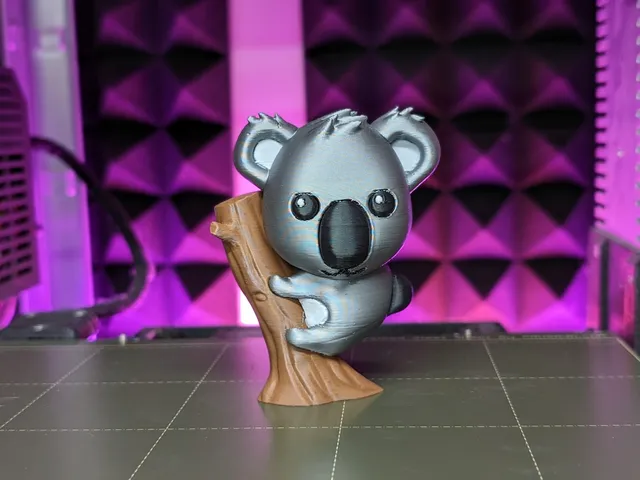 Baby Koala