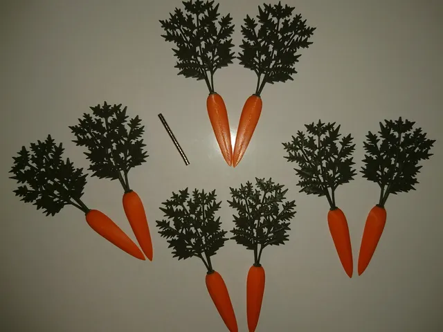 Fridge magnet or whole carrot