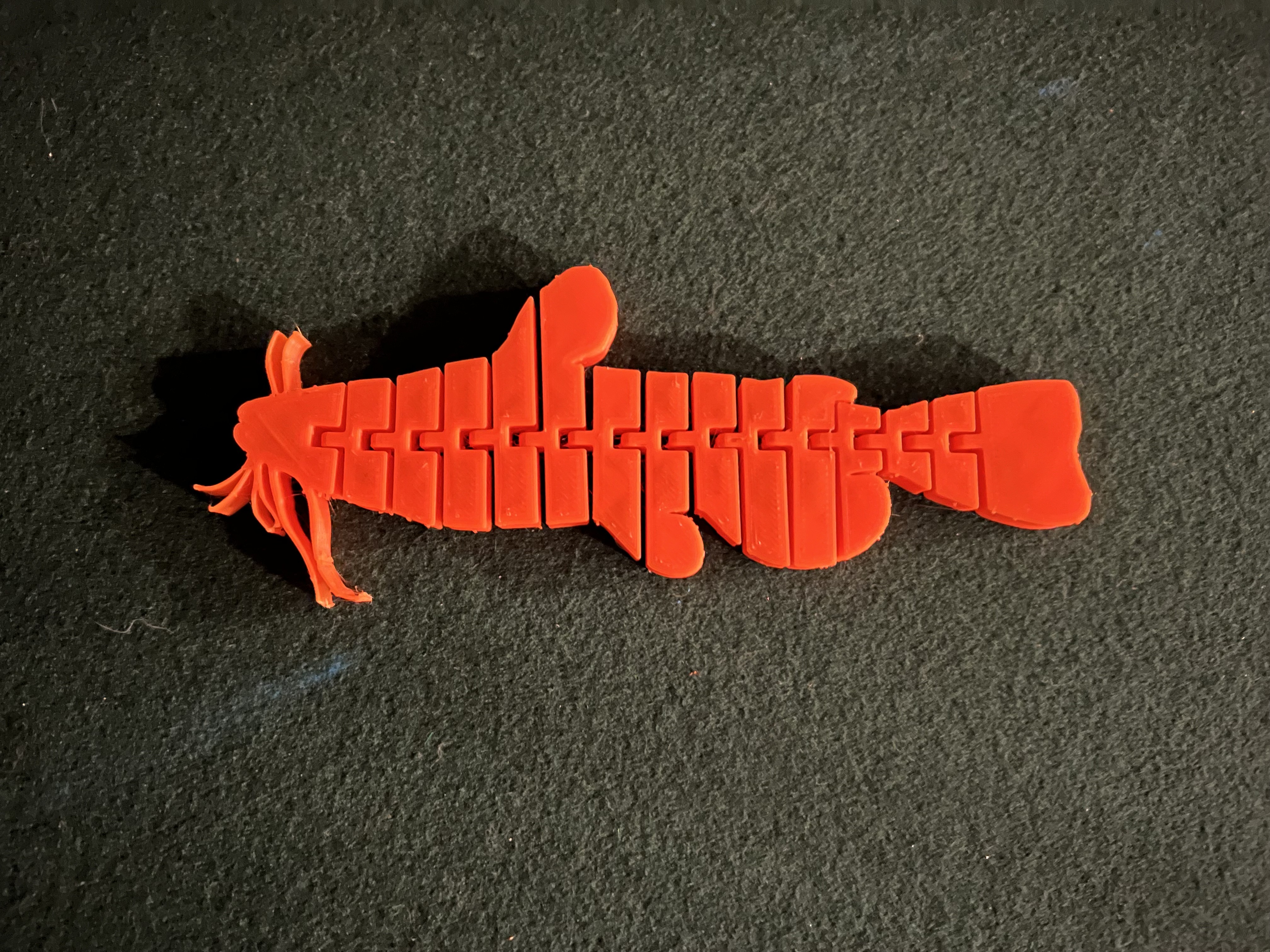 Flexi Catfish