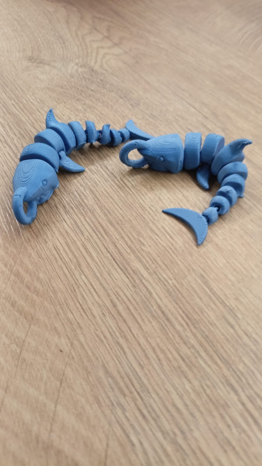 Curled Shark - keychain