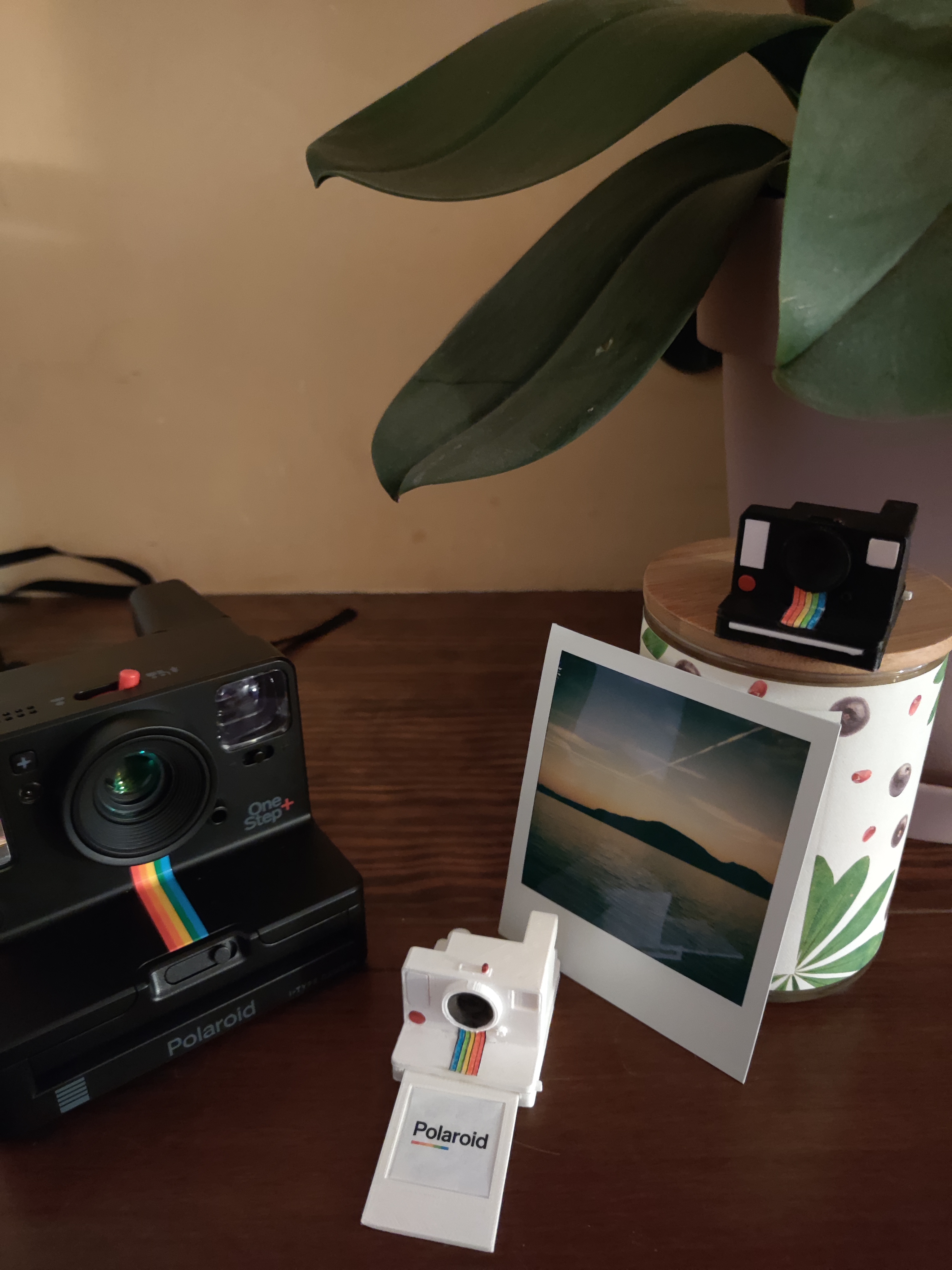 Mini Polaroid