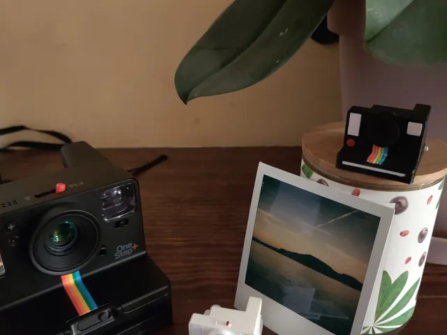 Mini Polaroid