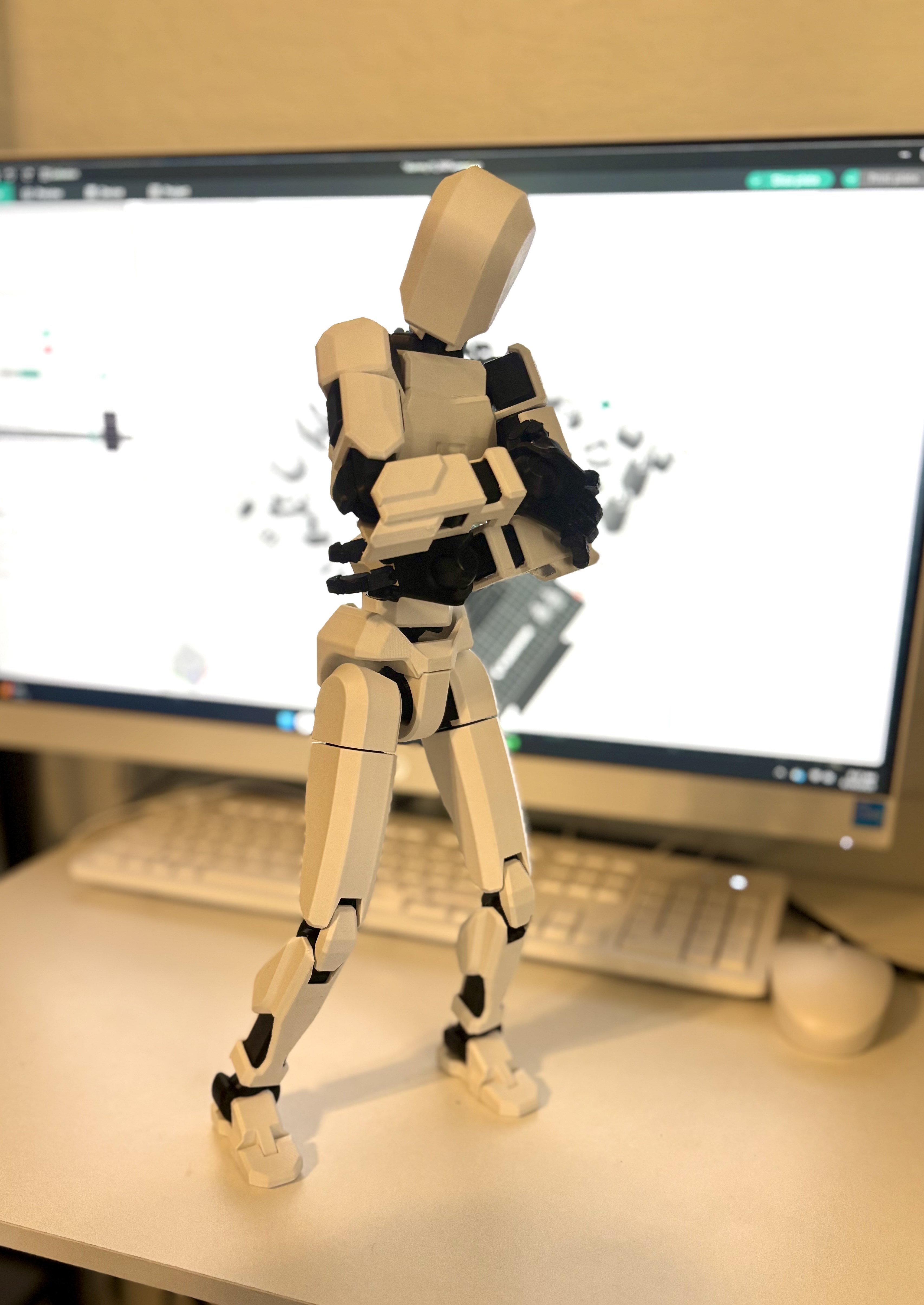 dummy 13 300% scale