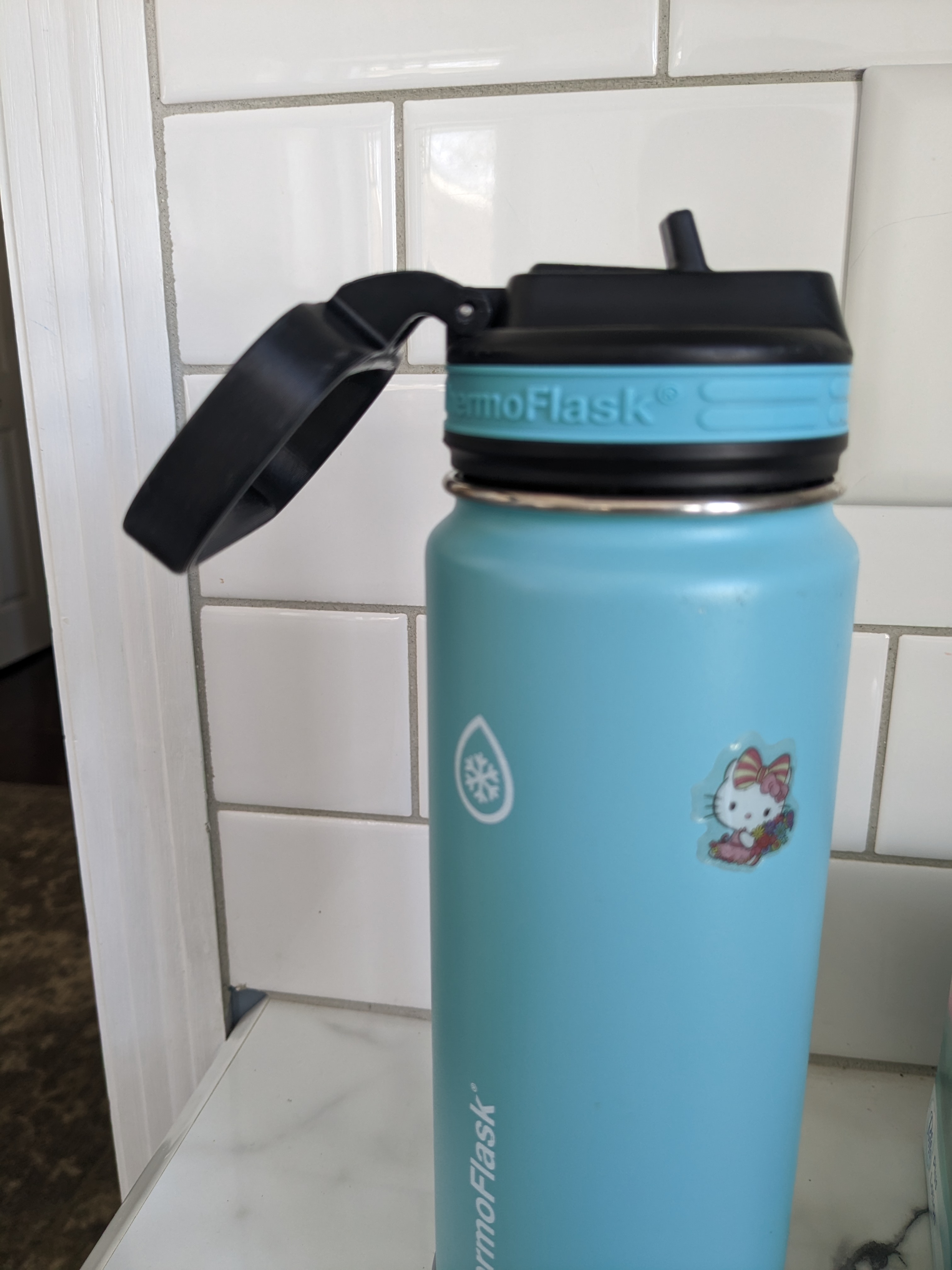 ThermoFlask handle