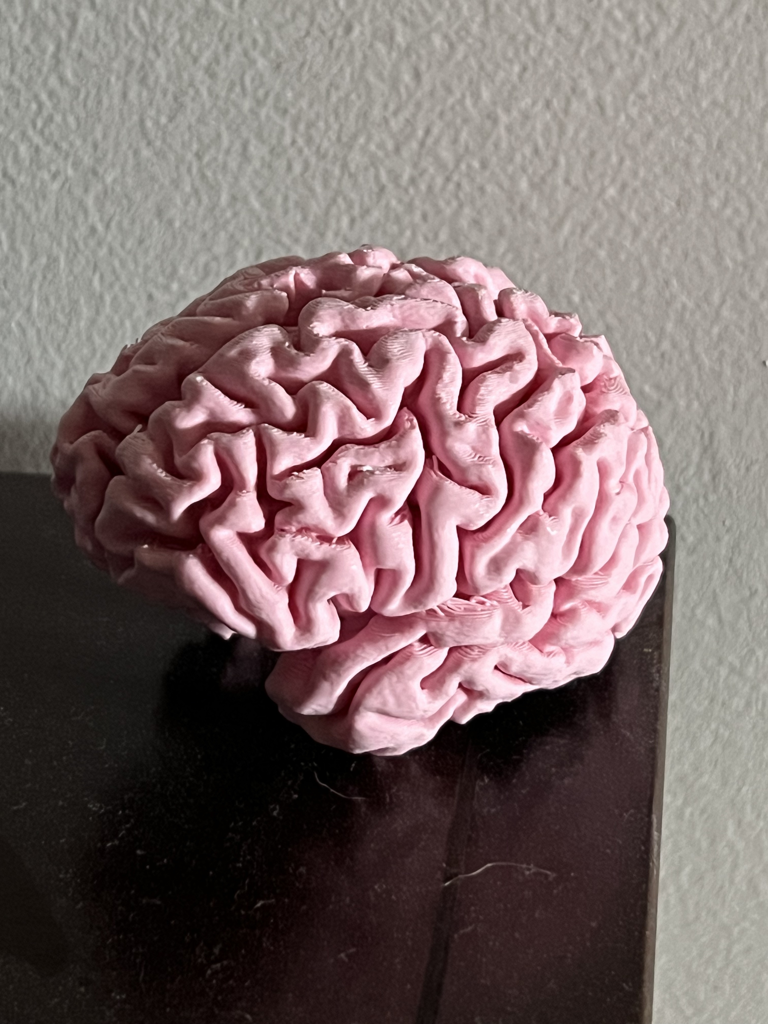 My Brain