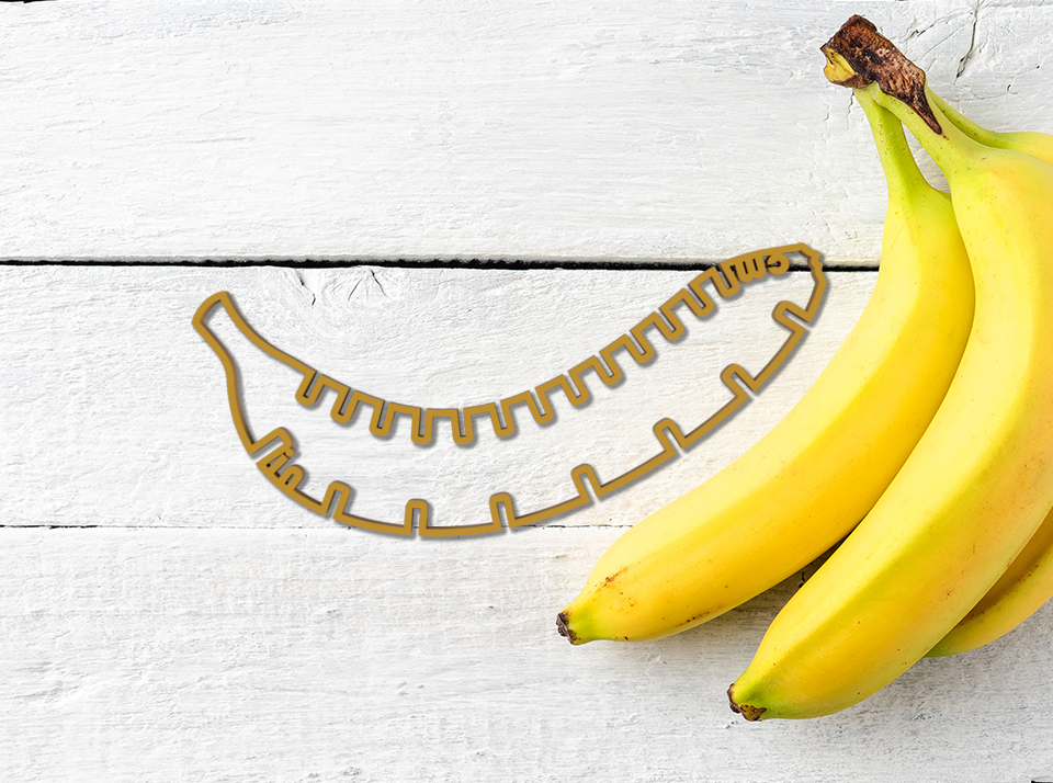 Banana for Scale