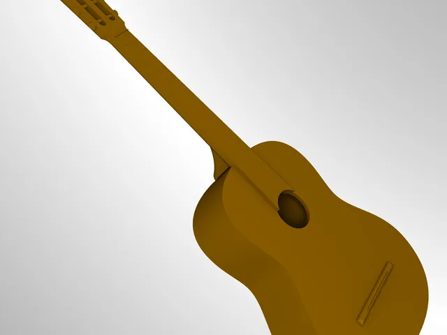 guitar