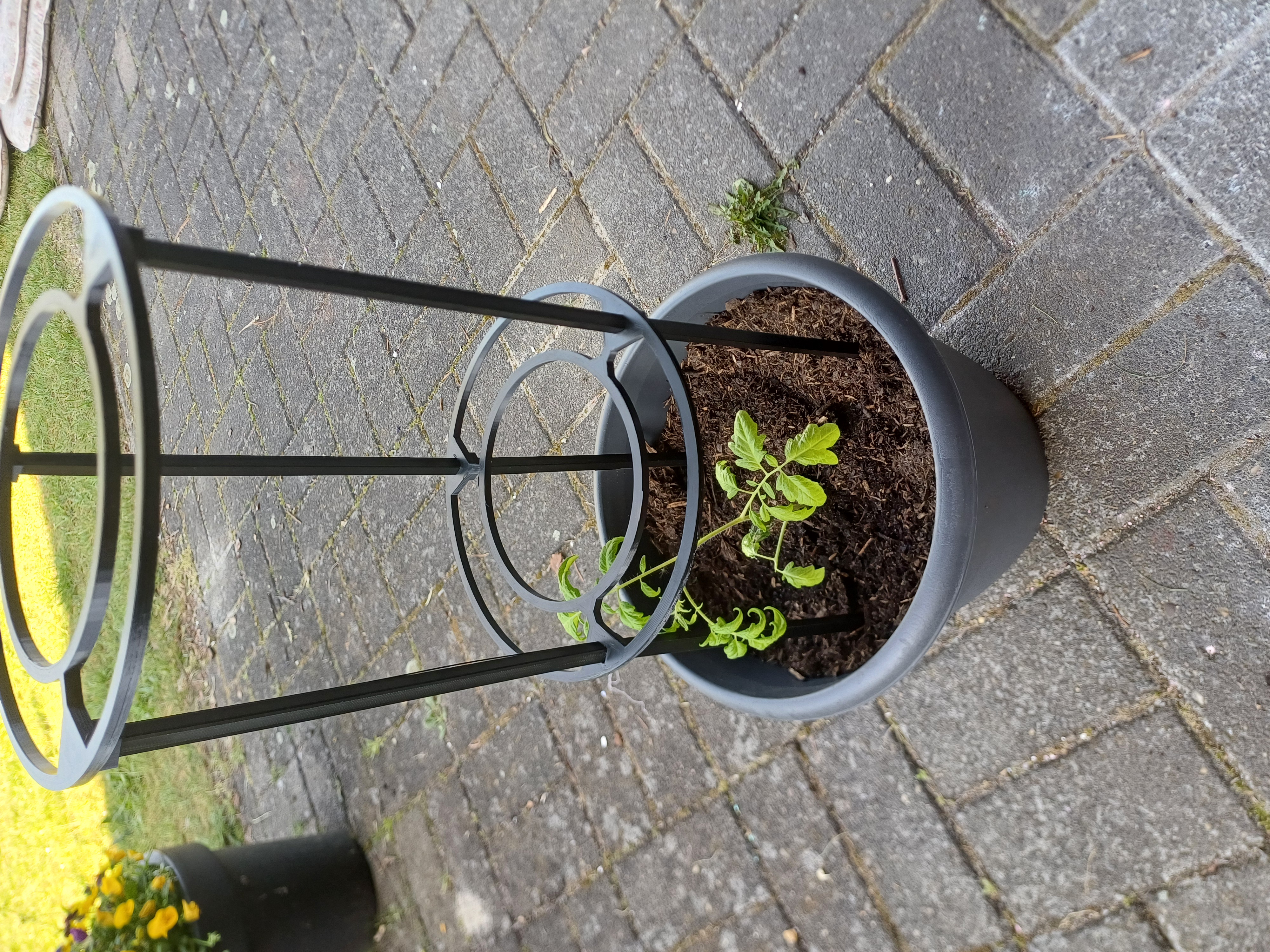 Stackable Tomato Rack