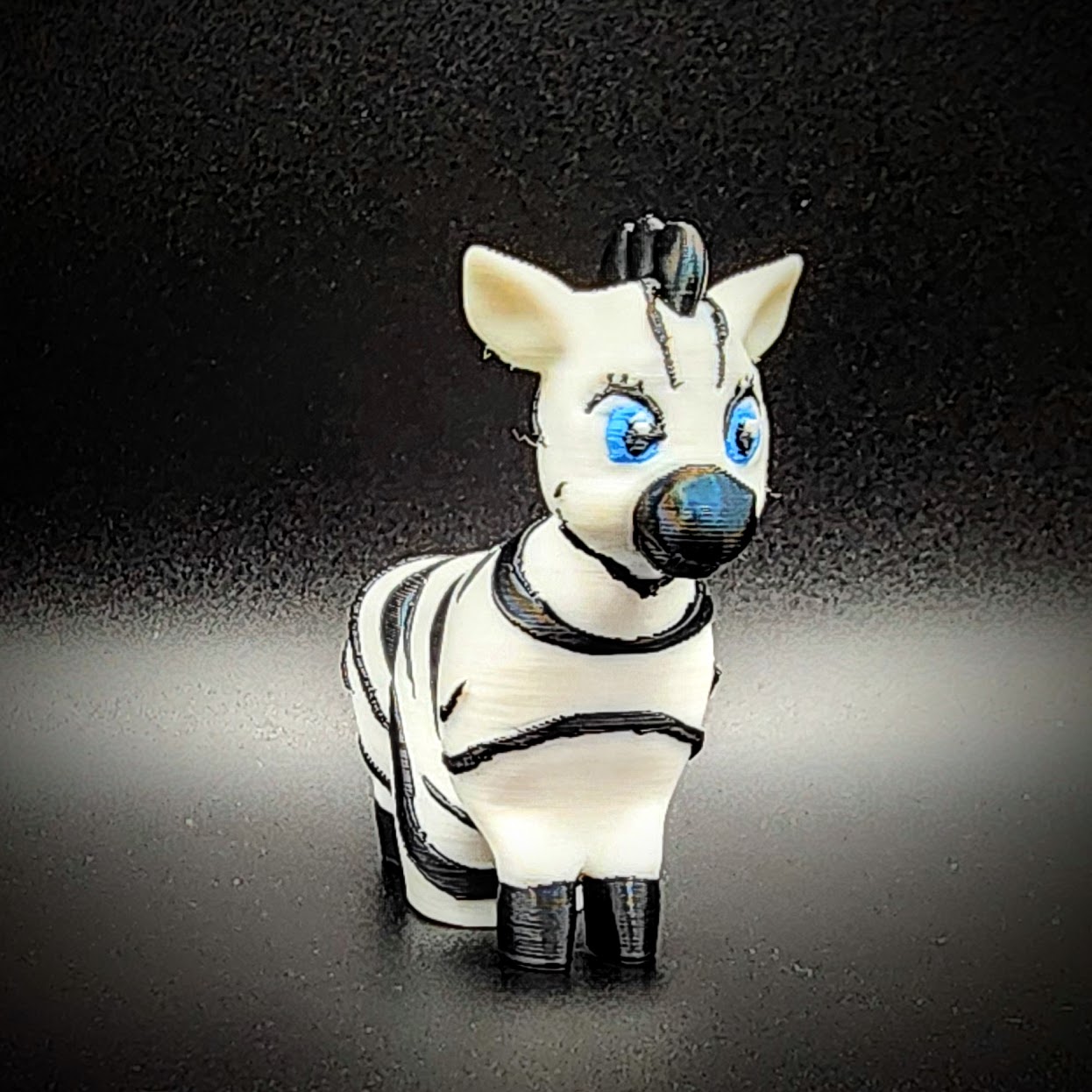 Zebra - Domino