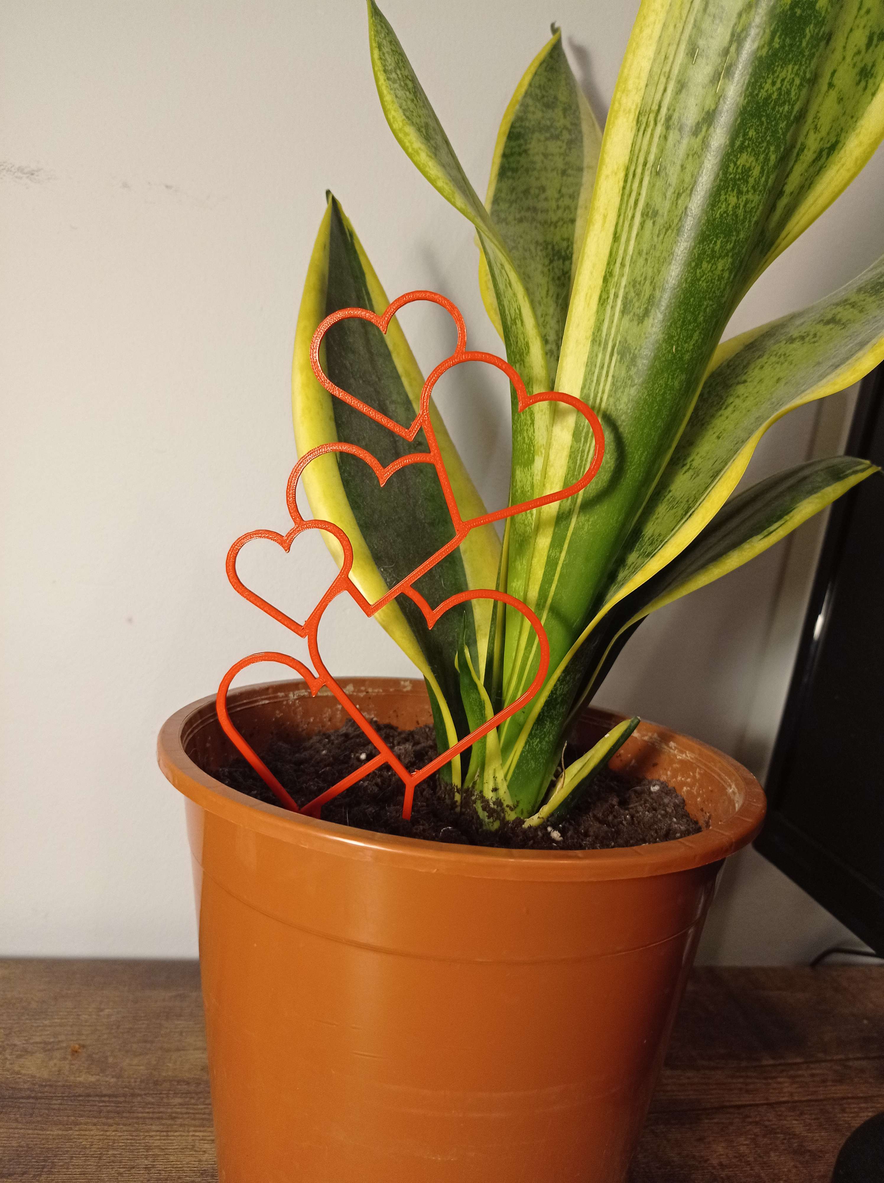 Heart Plant Support