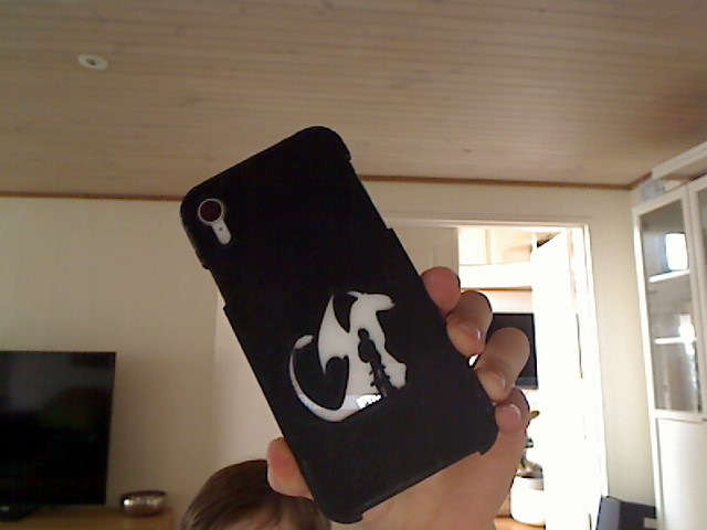 Toothless Phone Case